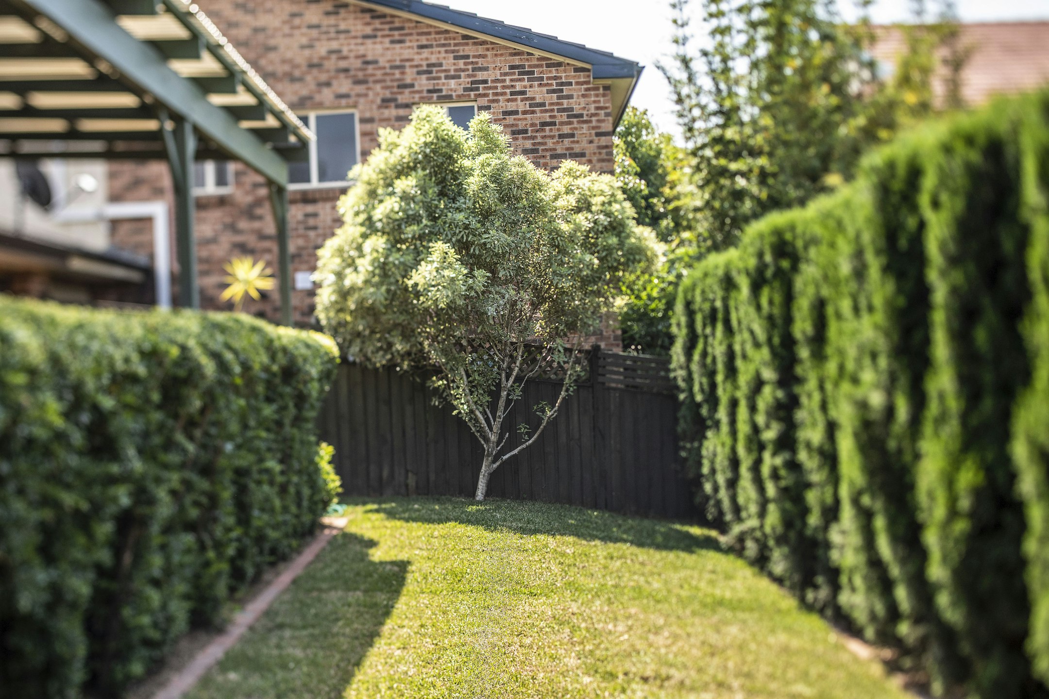 garden
