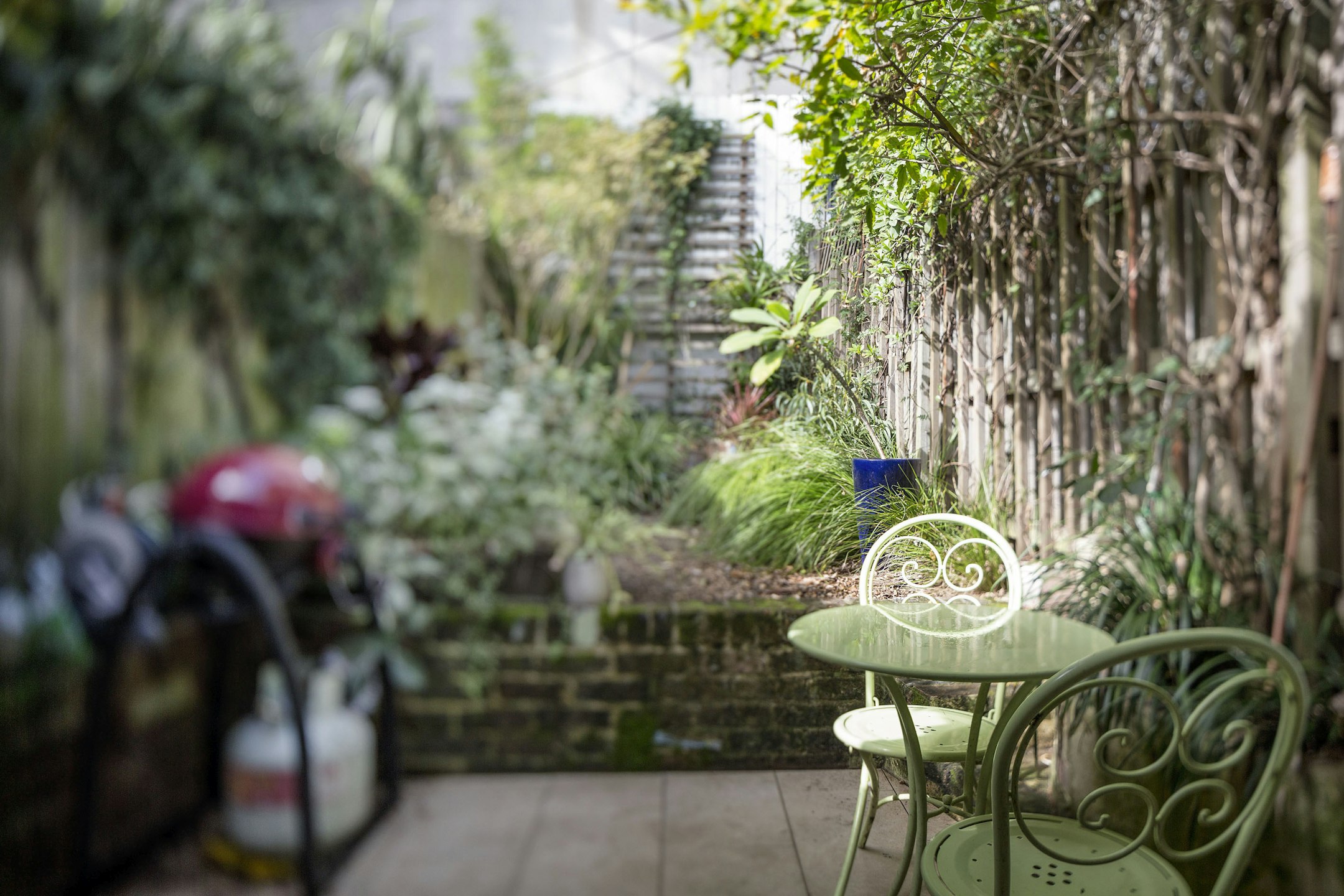 garden