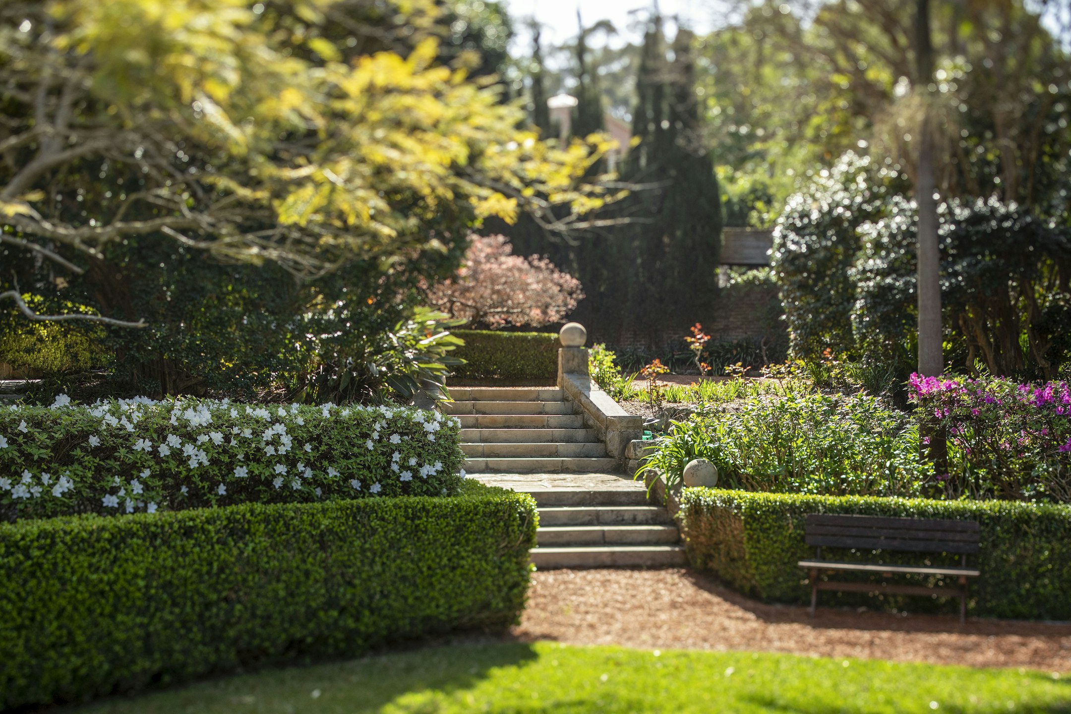 garden