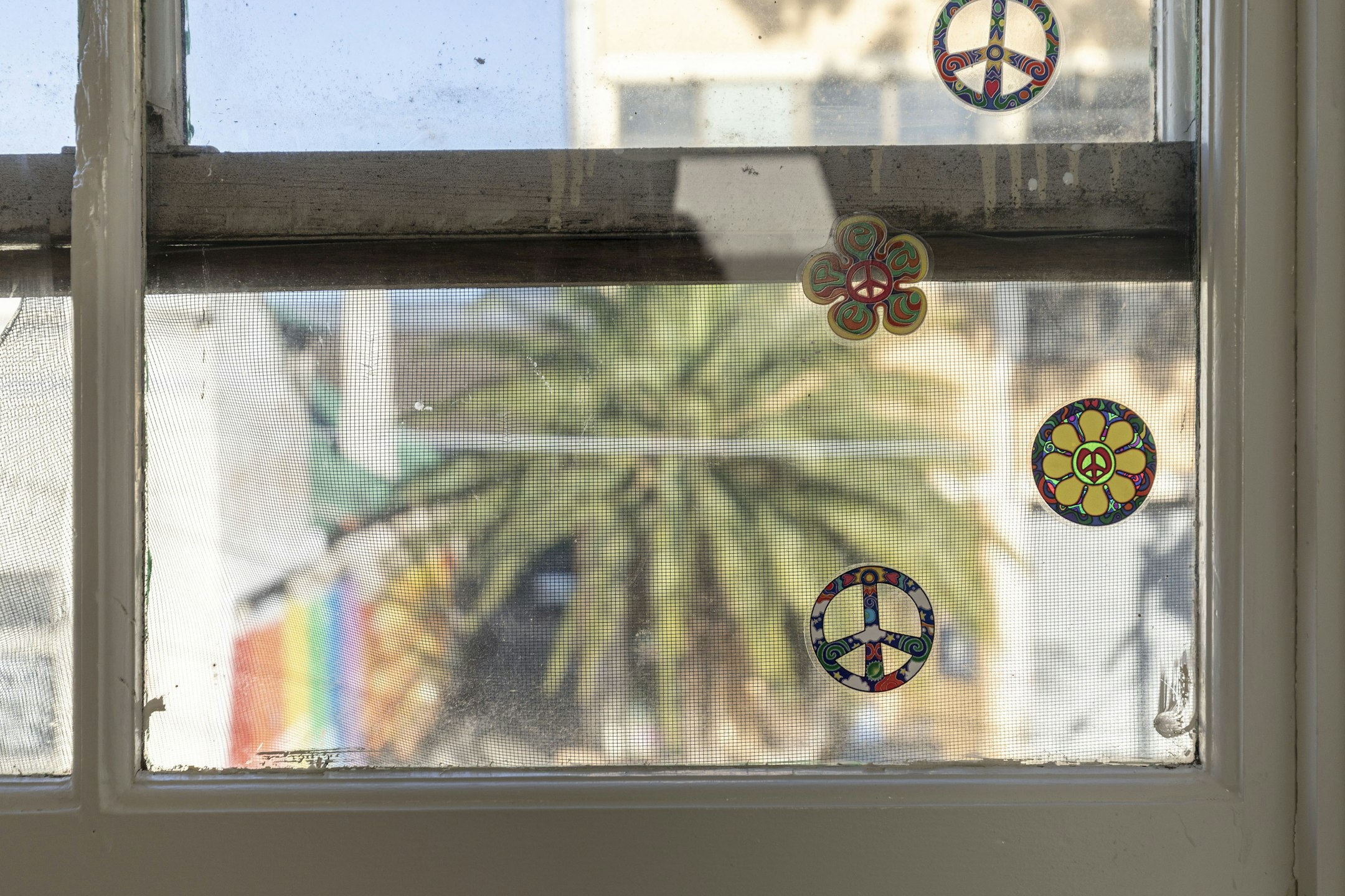 window