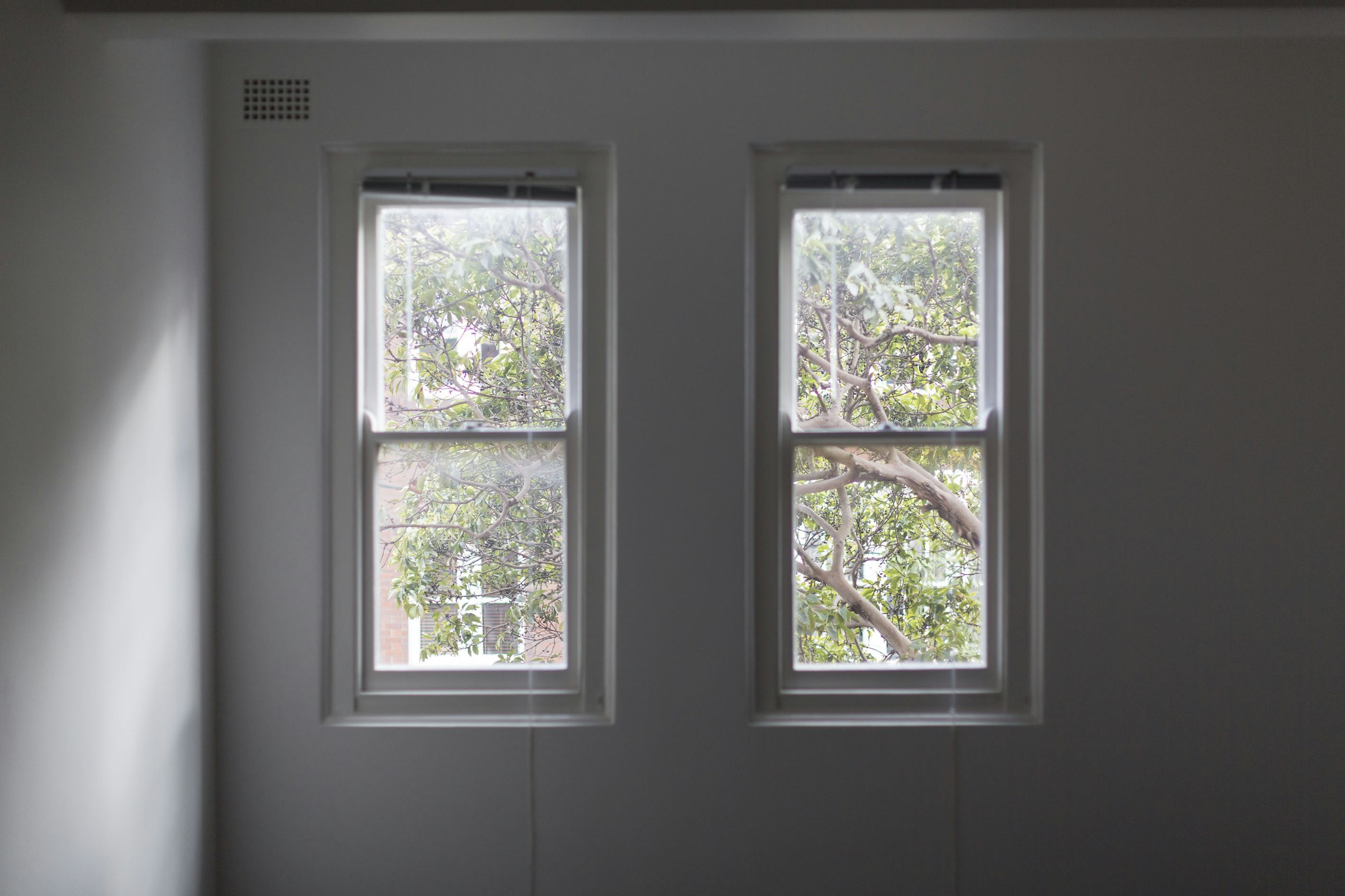 window