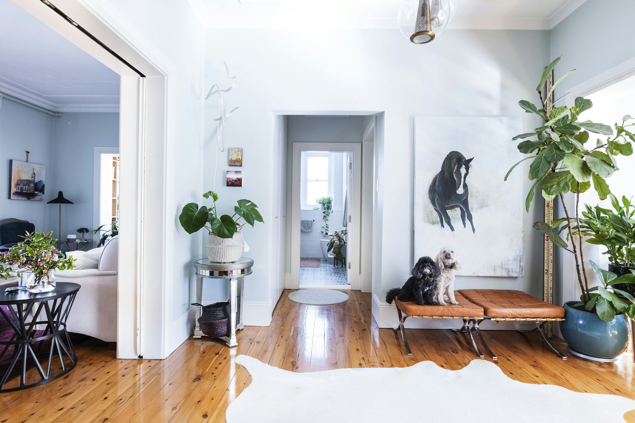 interior design