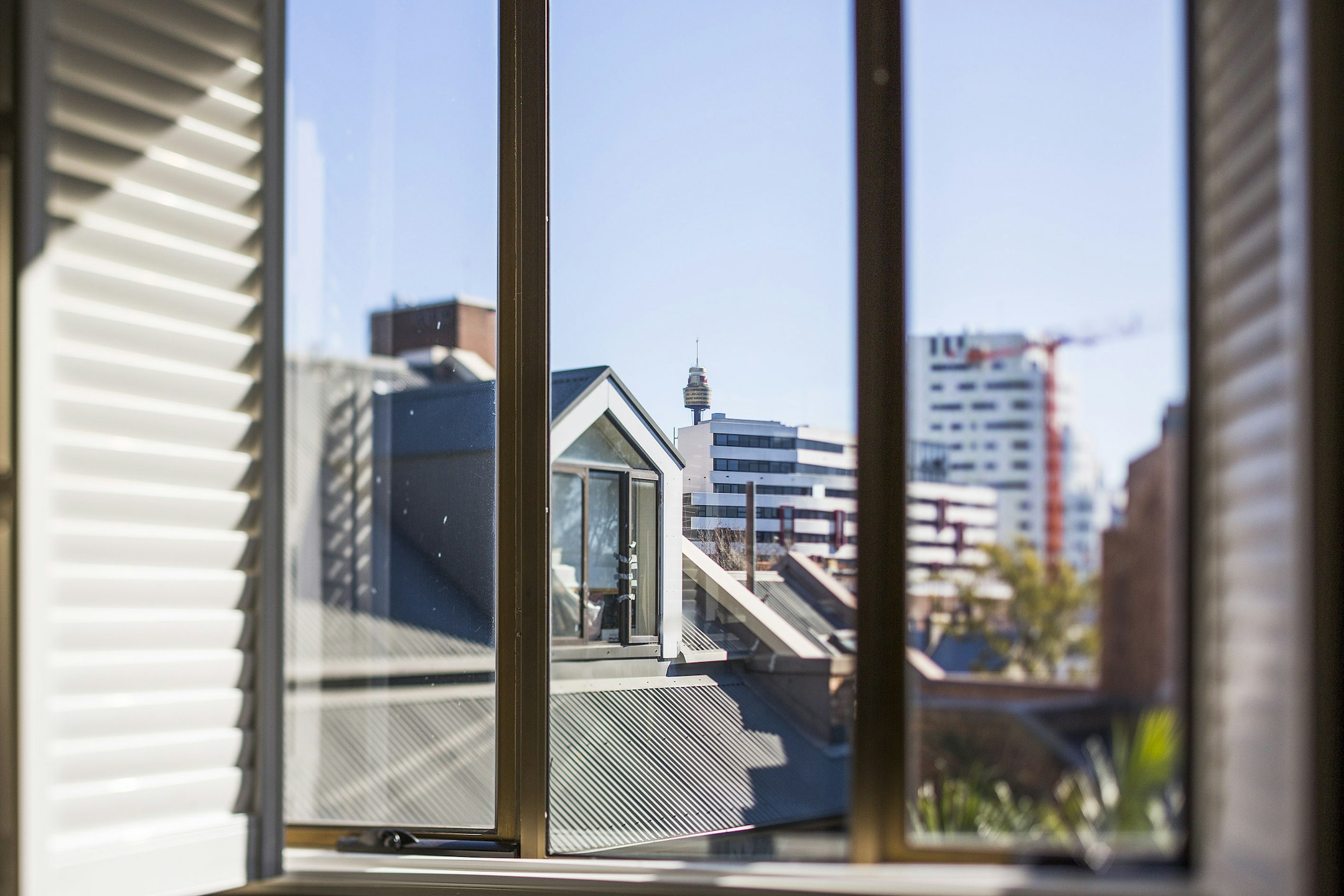 window
