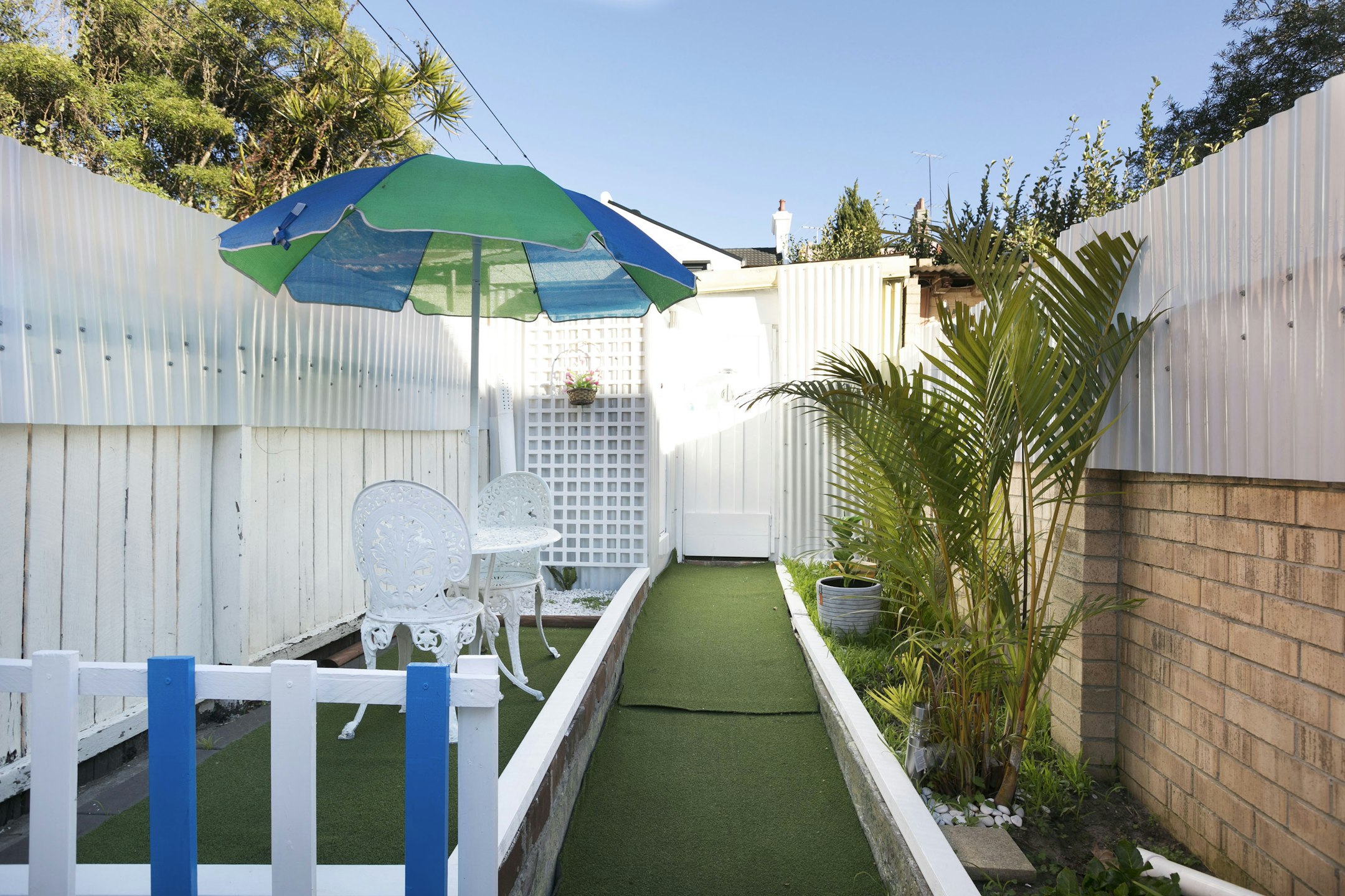 backyard