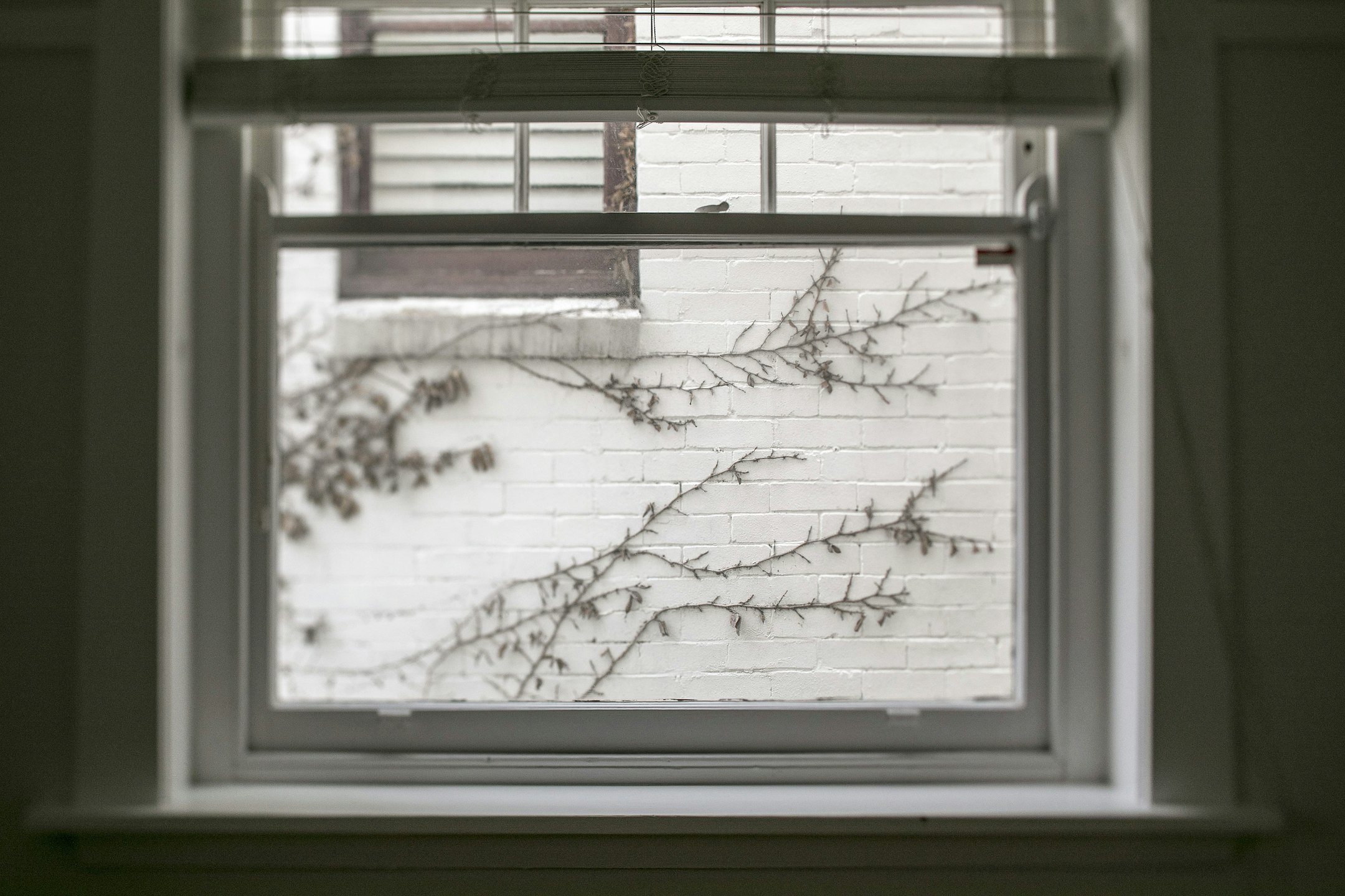 window