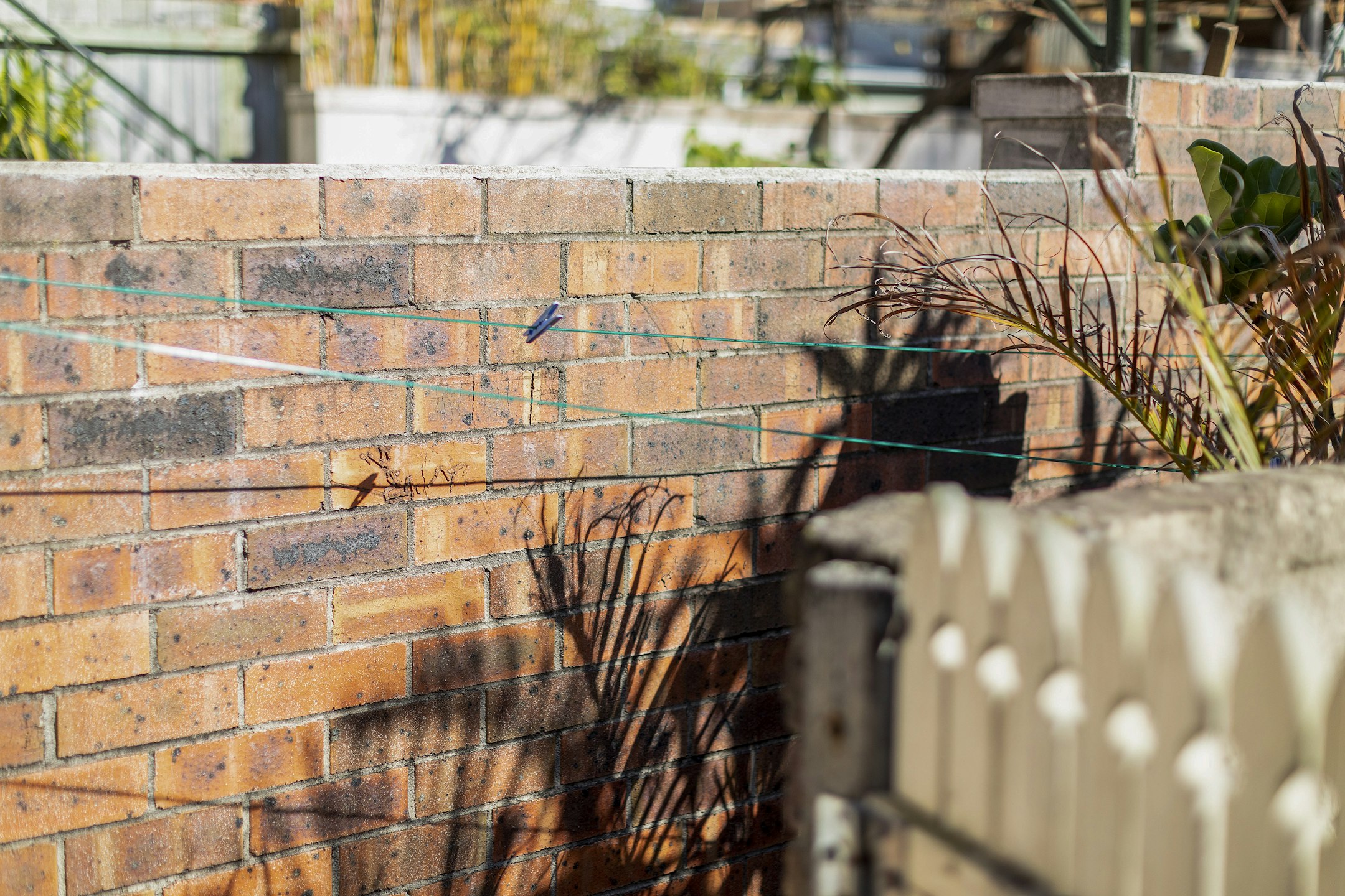 brick