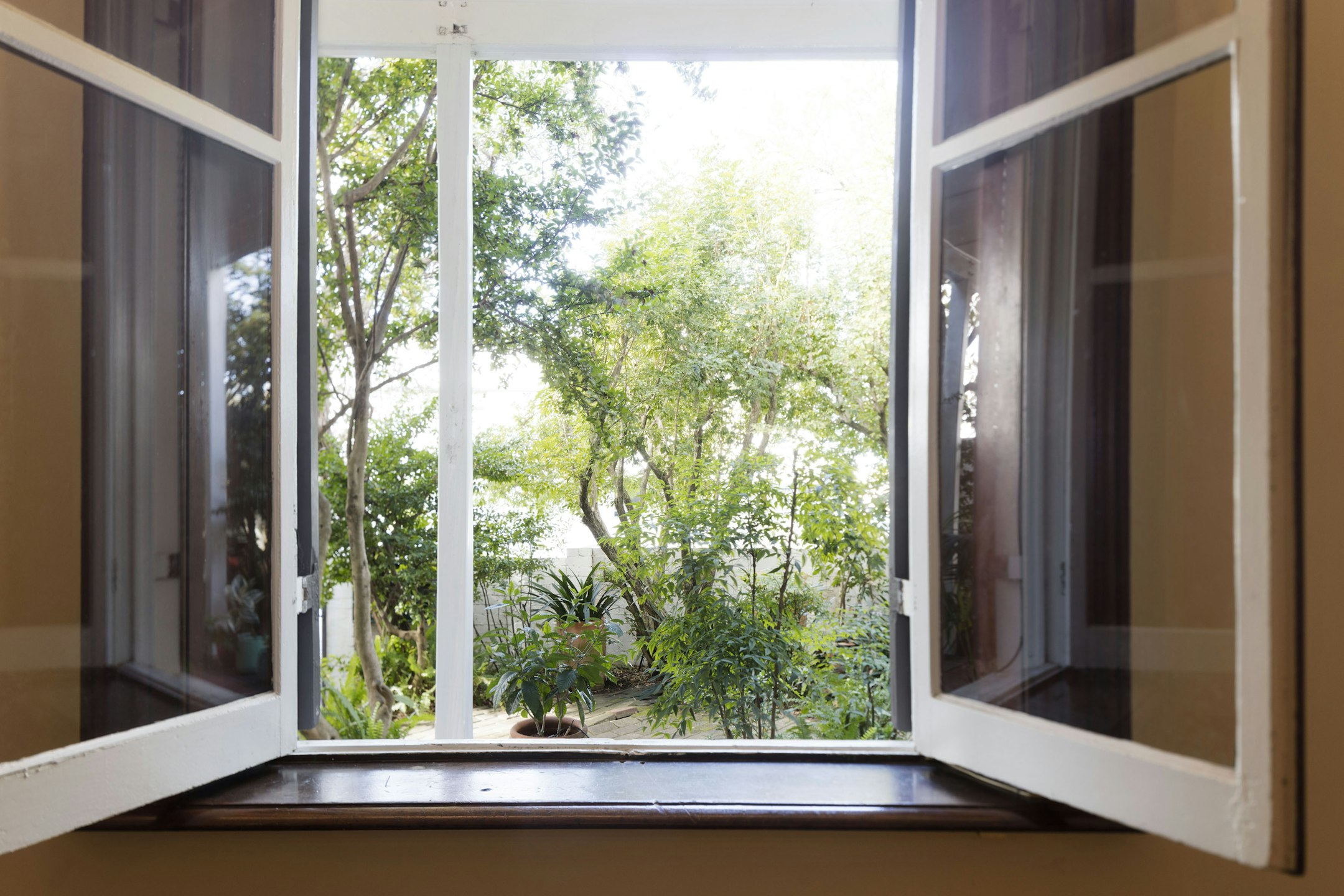 window