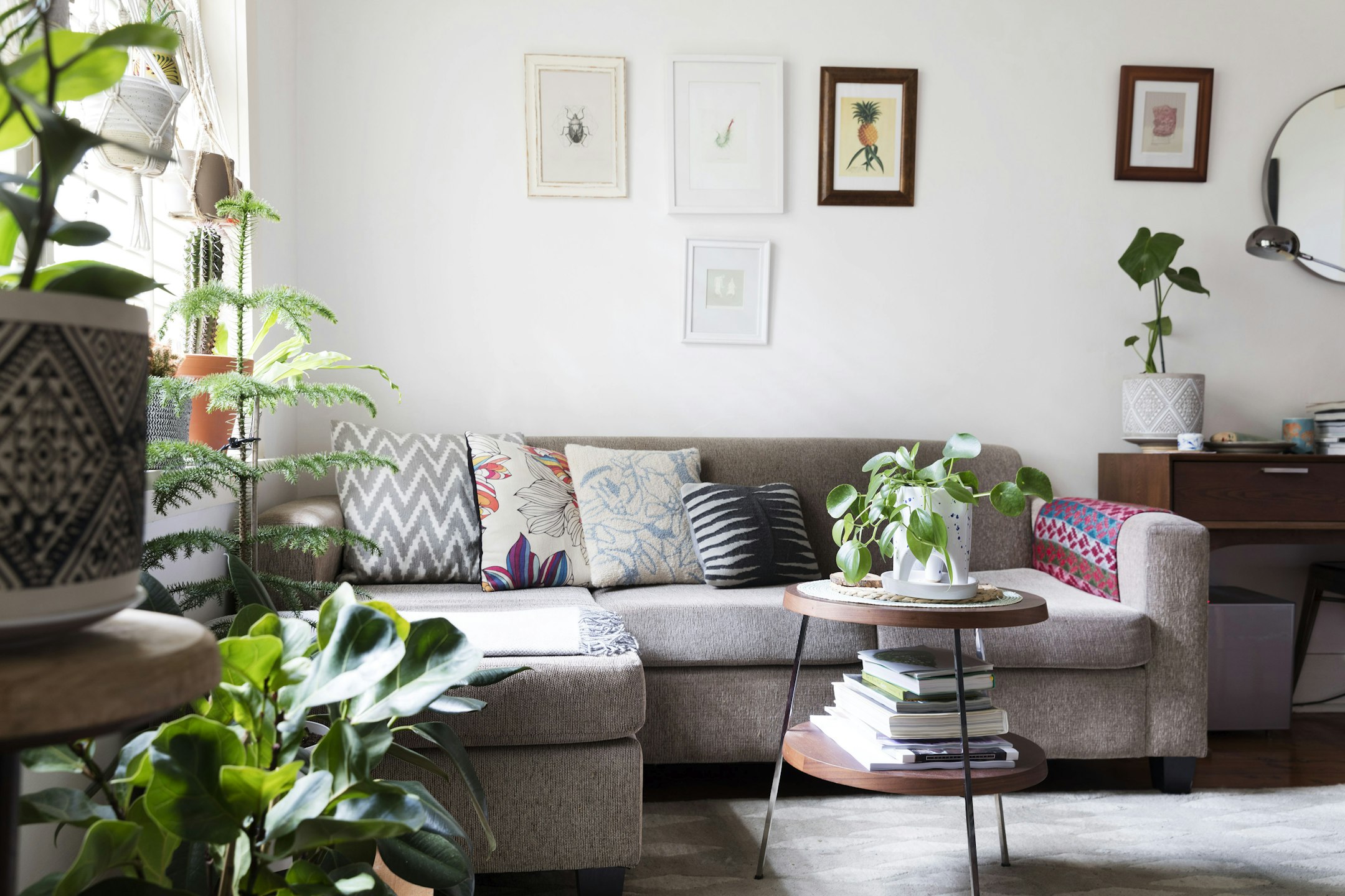 furniture