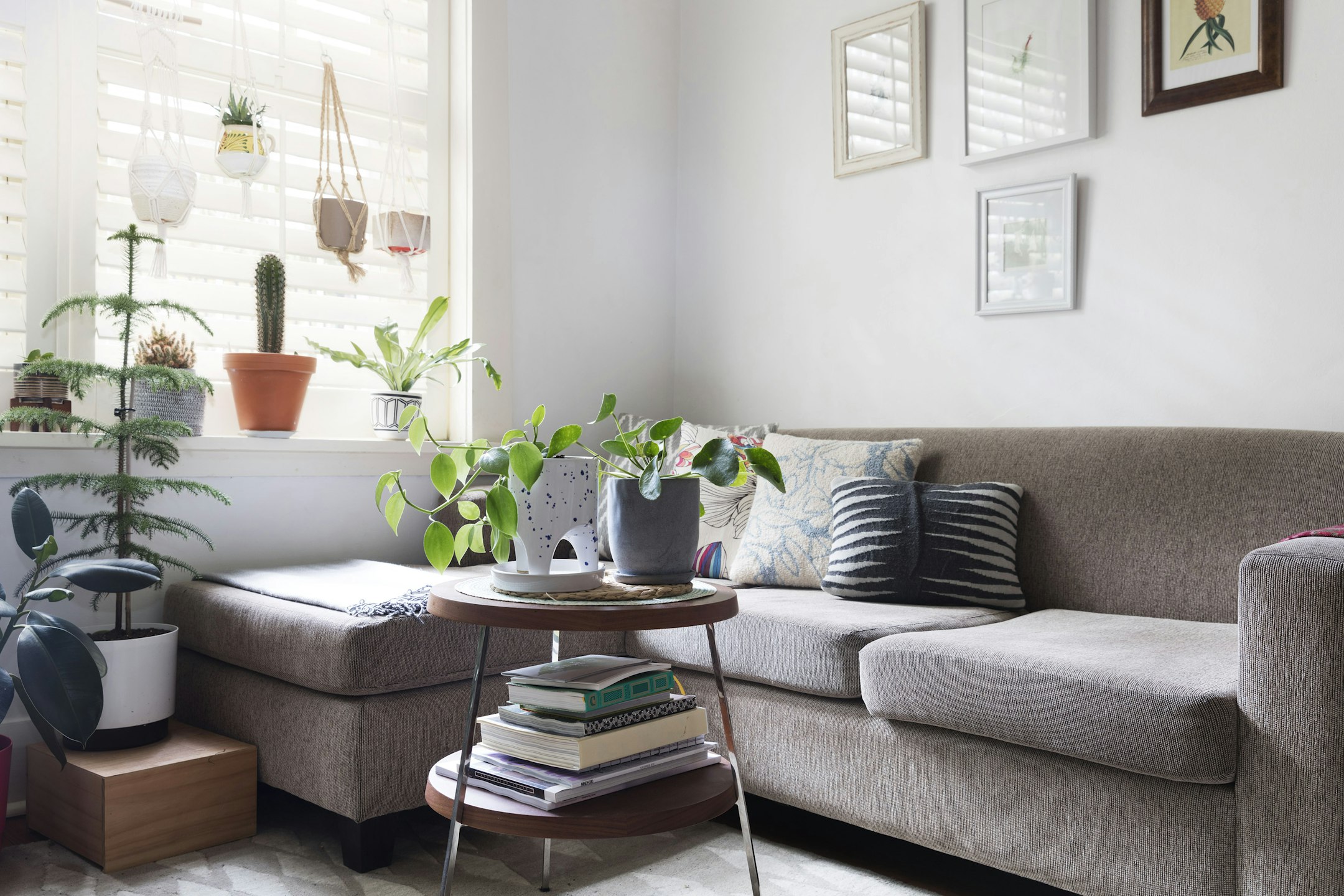 furniture