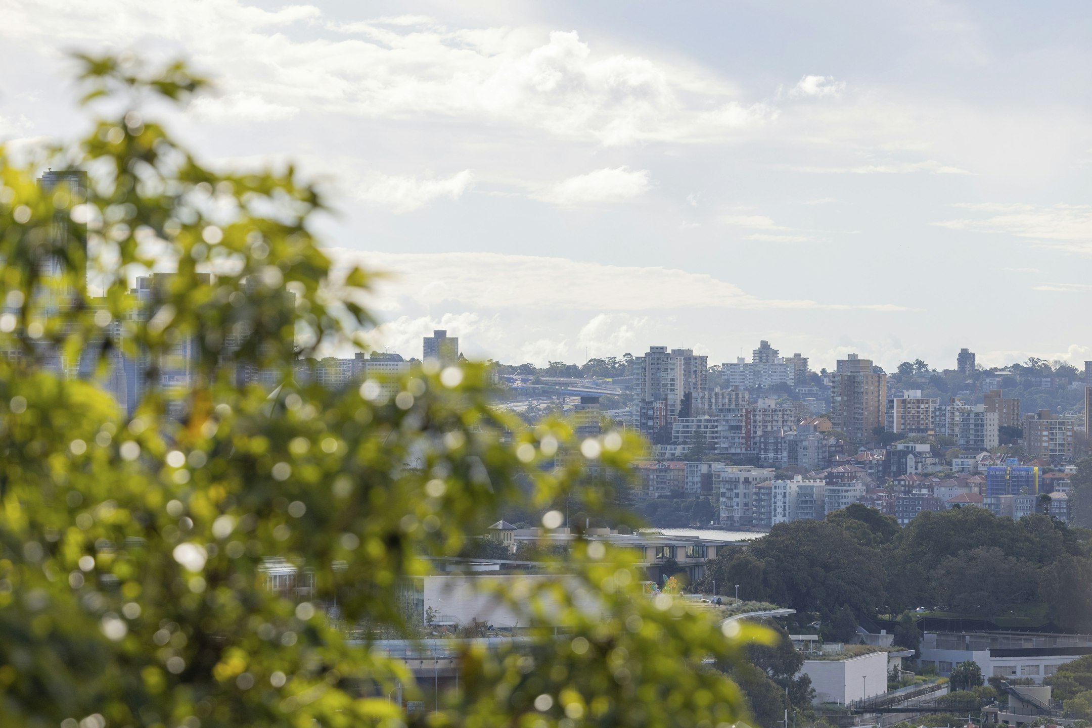 city