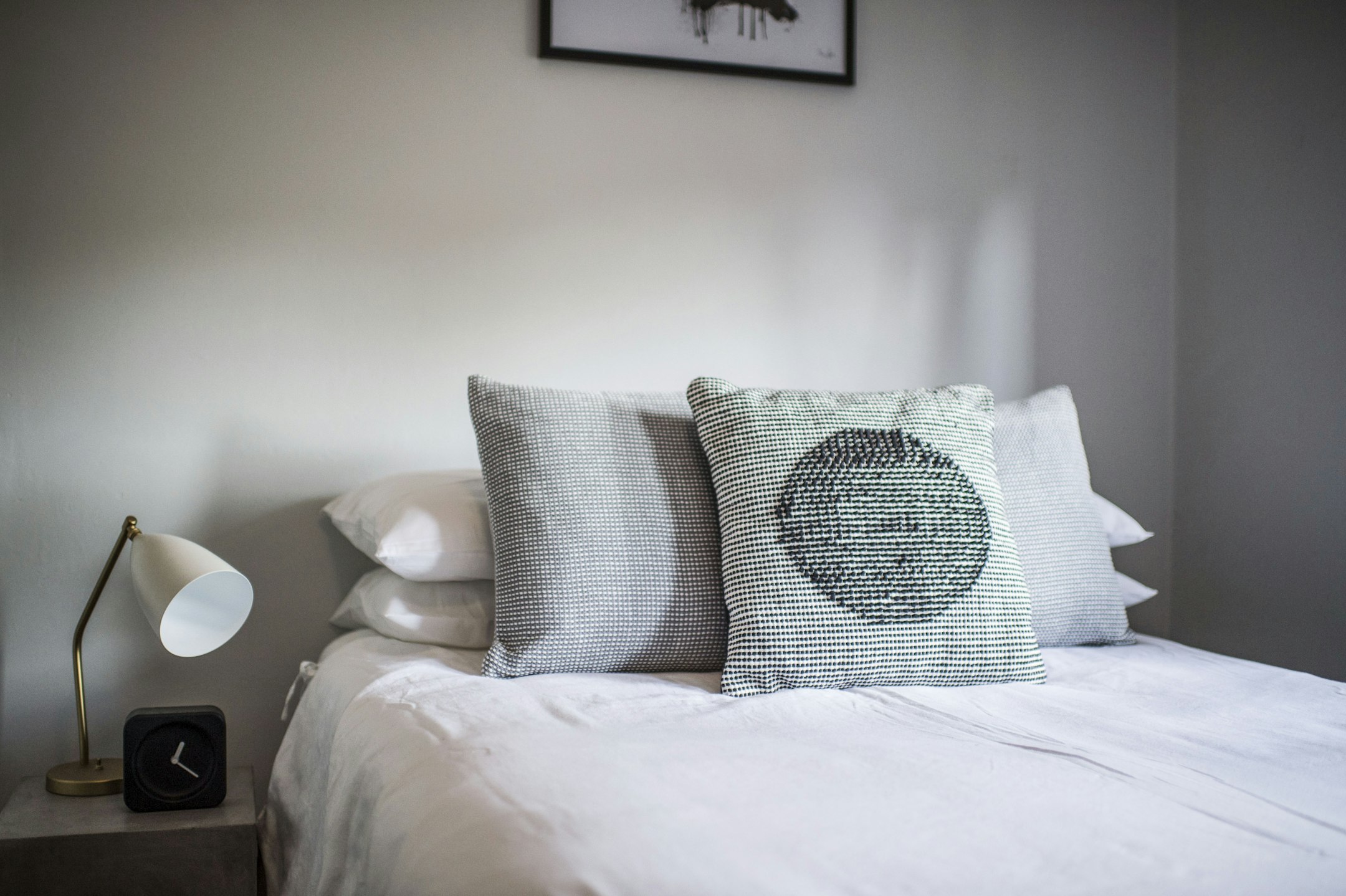 cushion