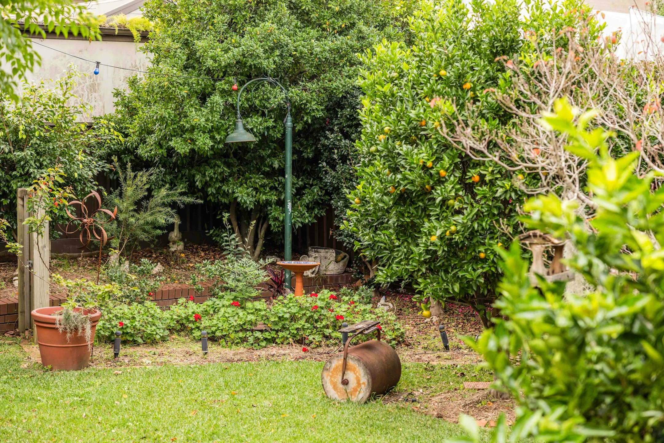 garden