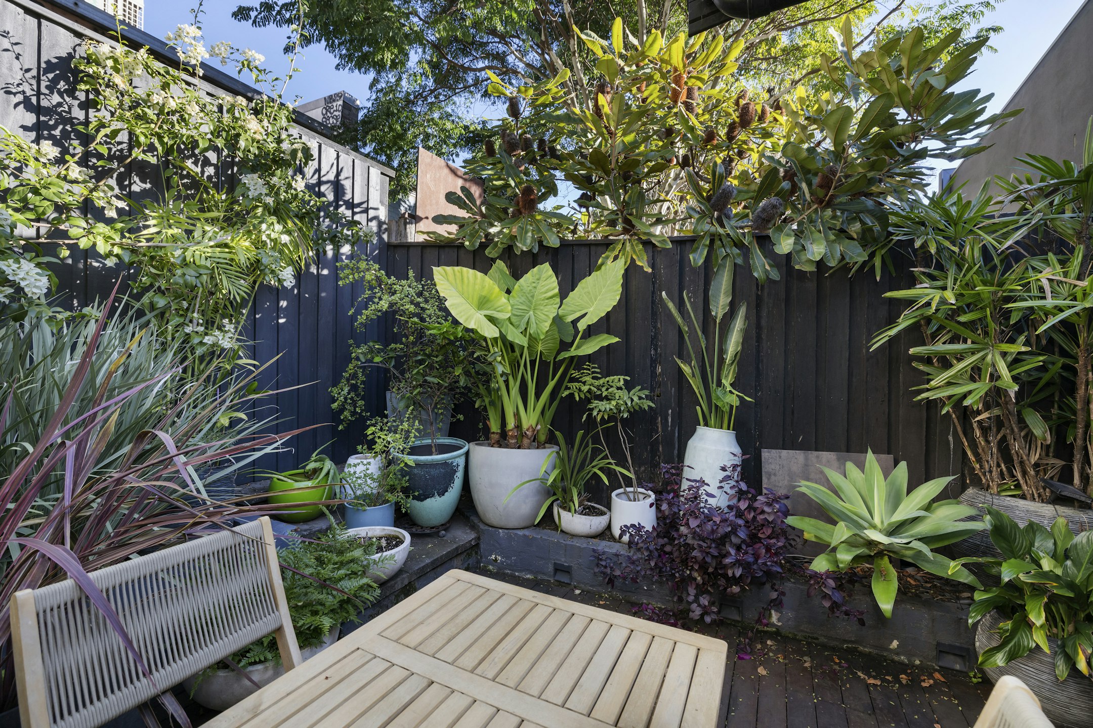 garden