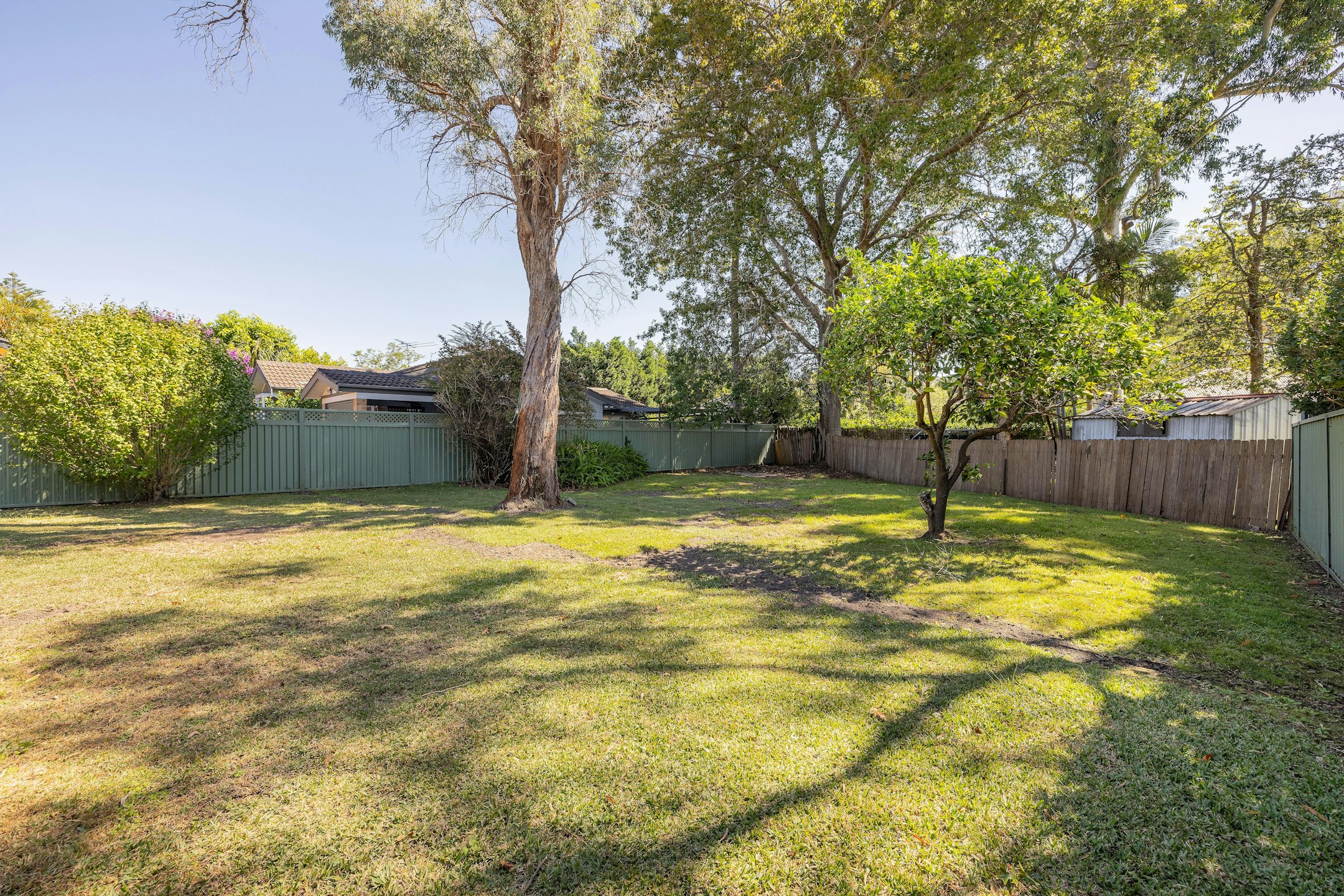 backyard