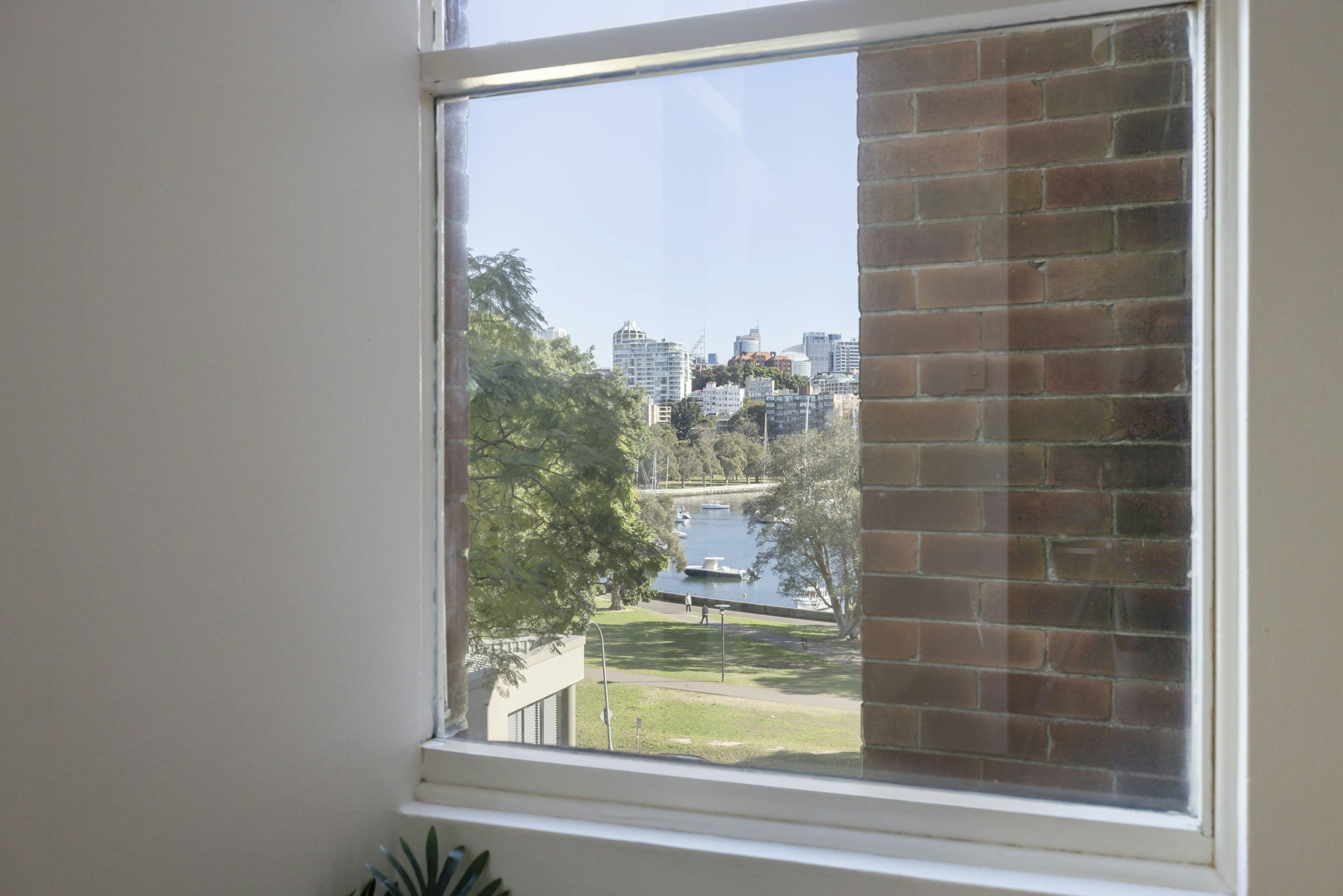 window