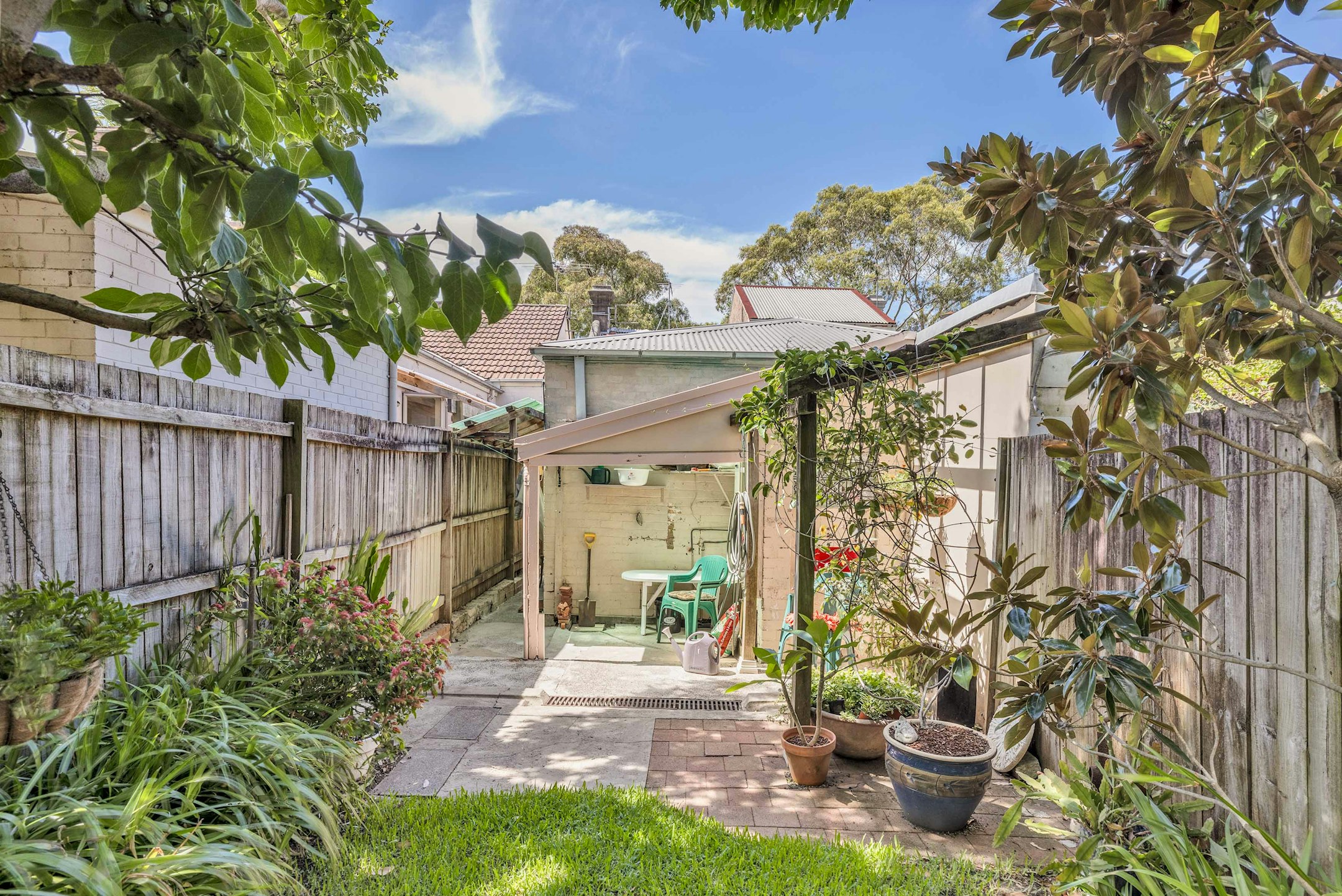 backyard