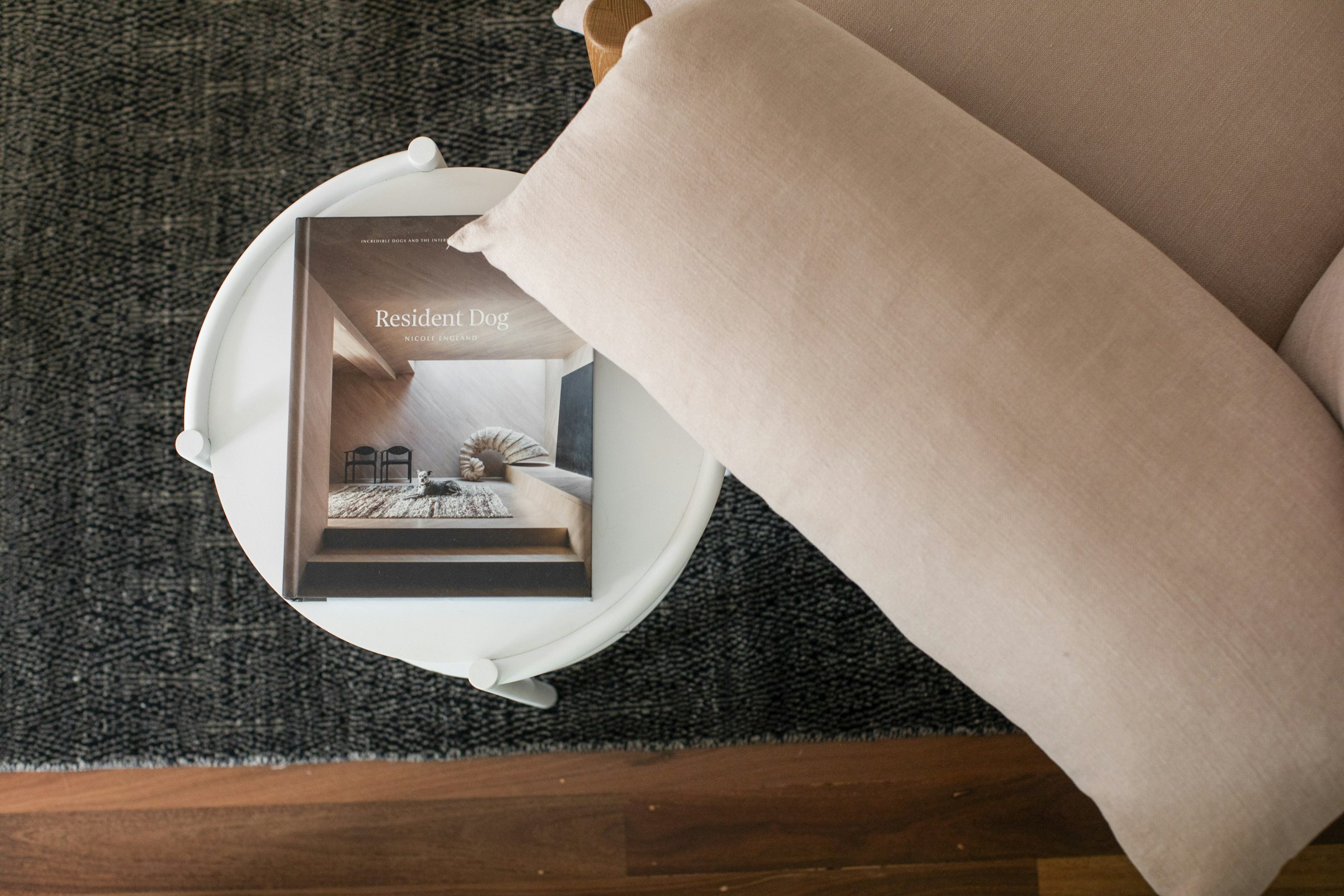 cushion