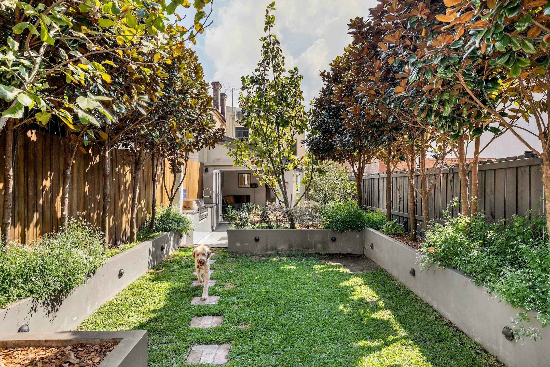 backyard