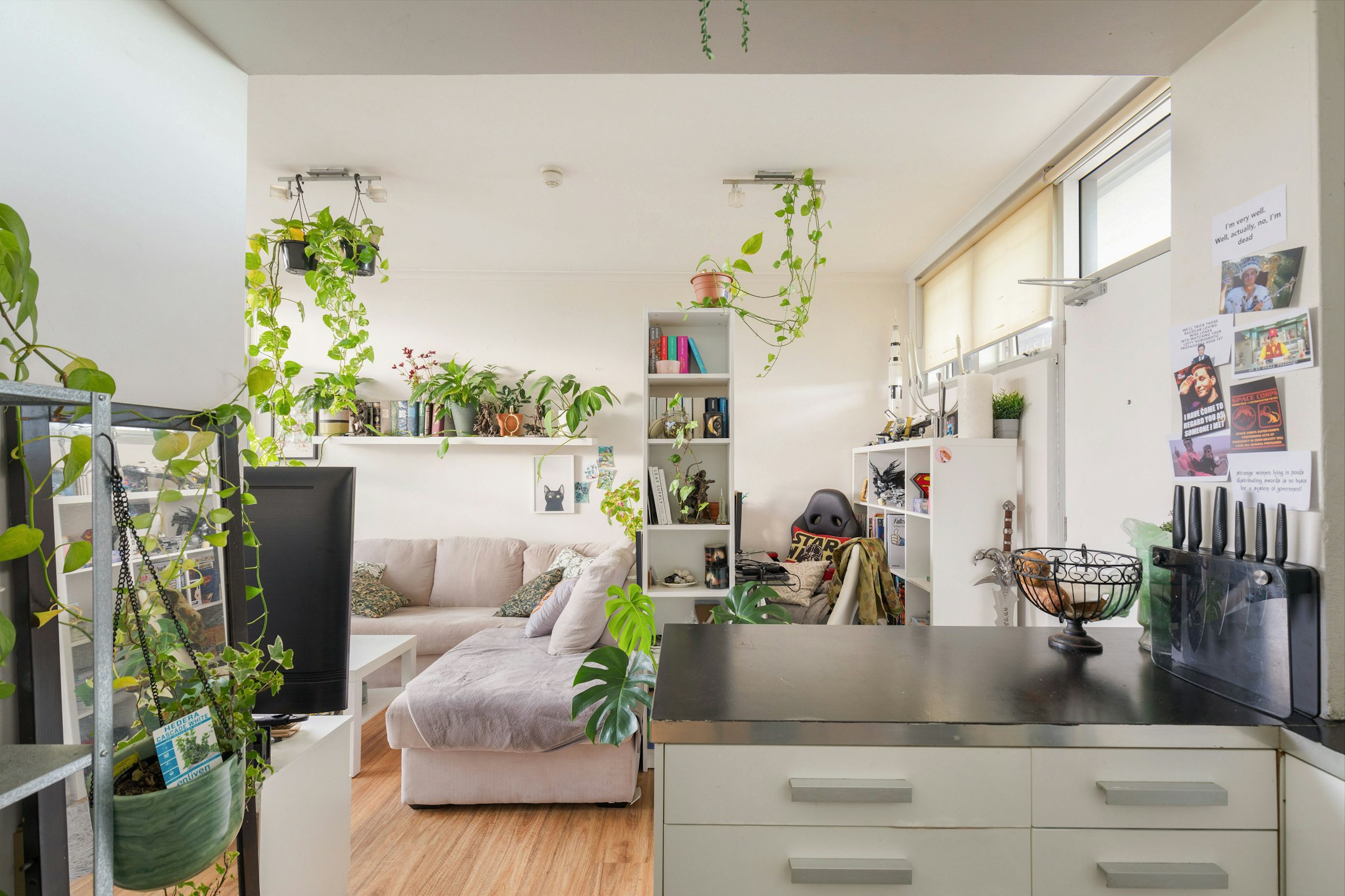 home decor