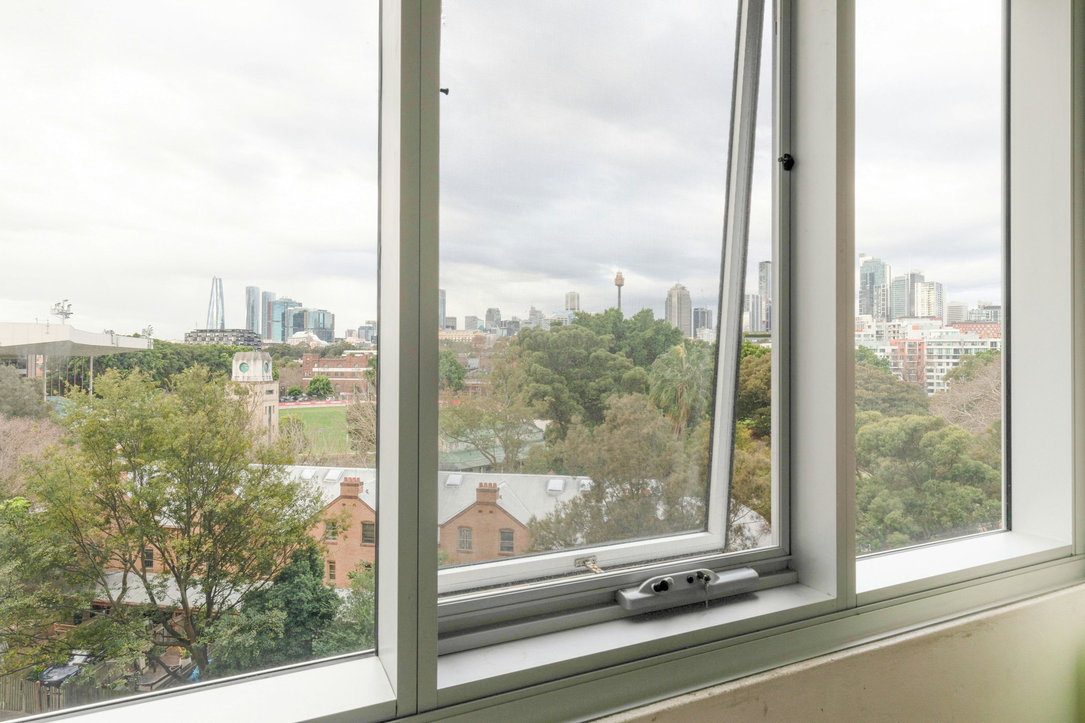 window