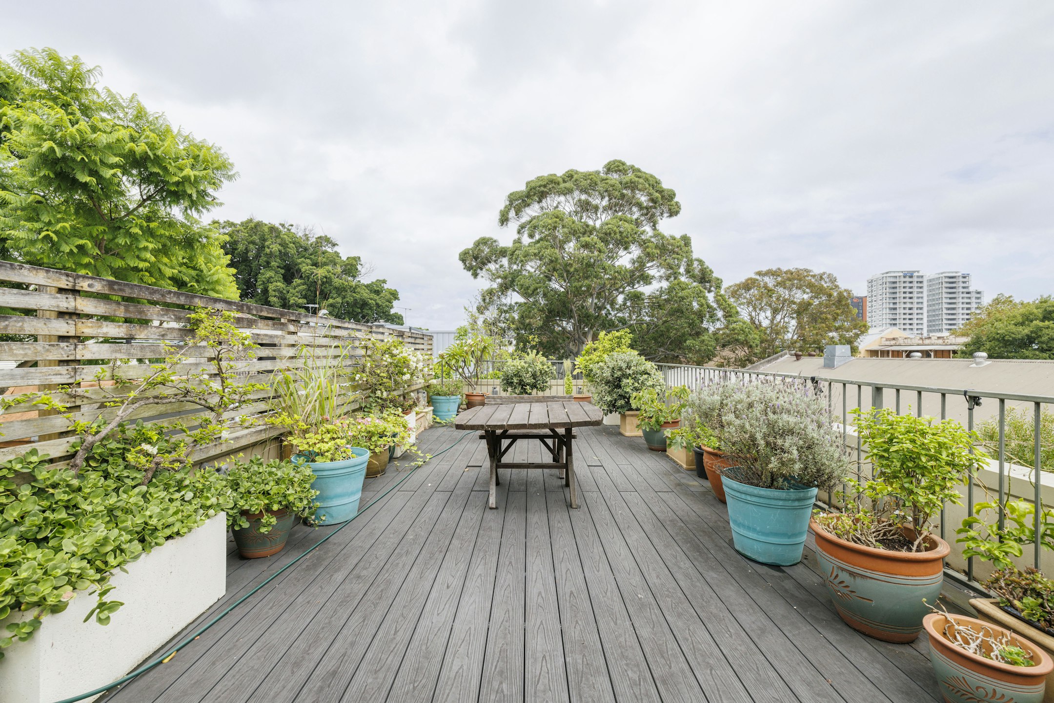 garden