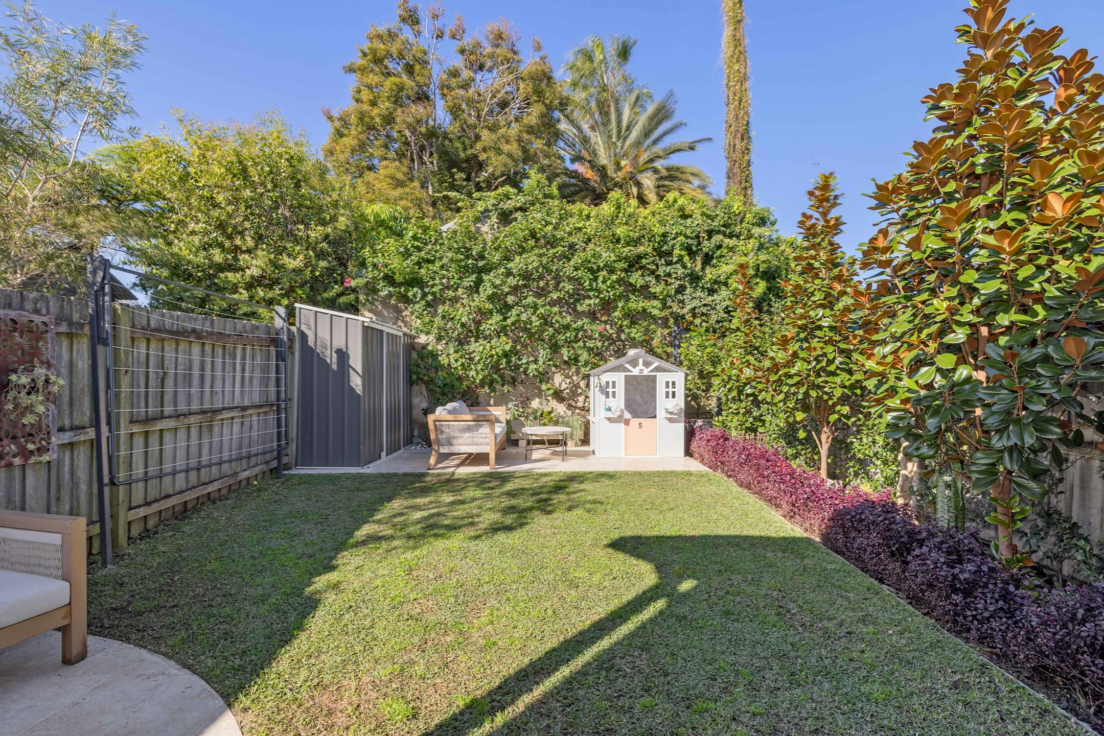backyard