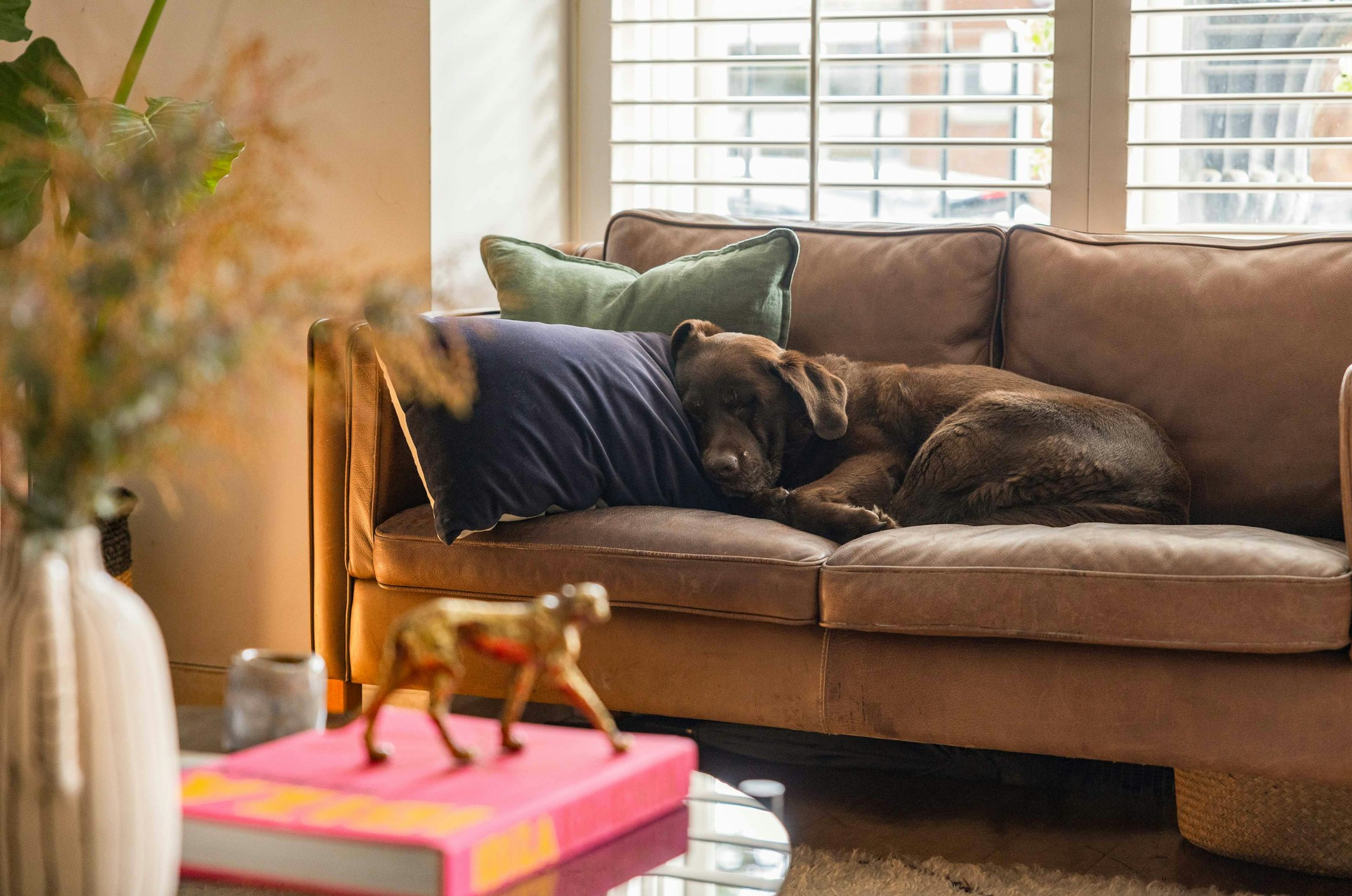 couch