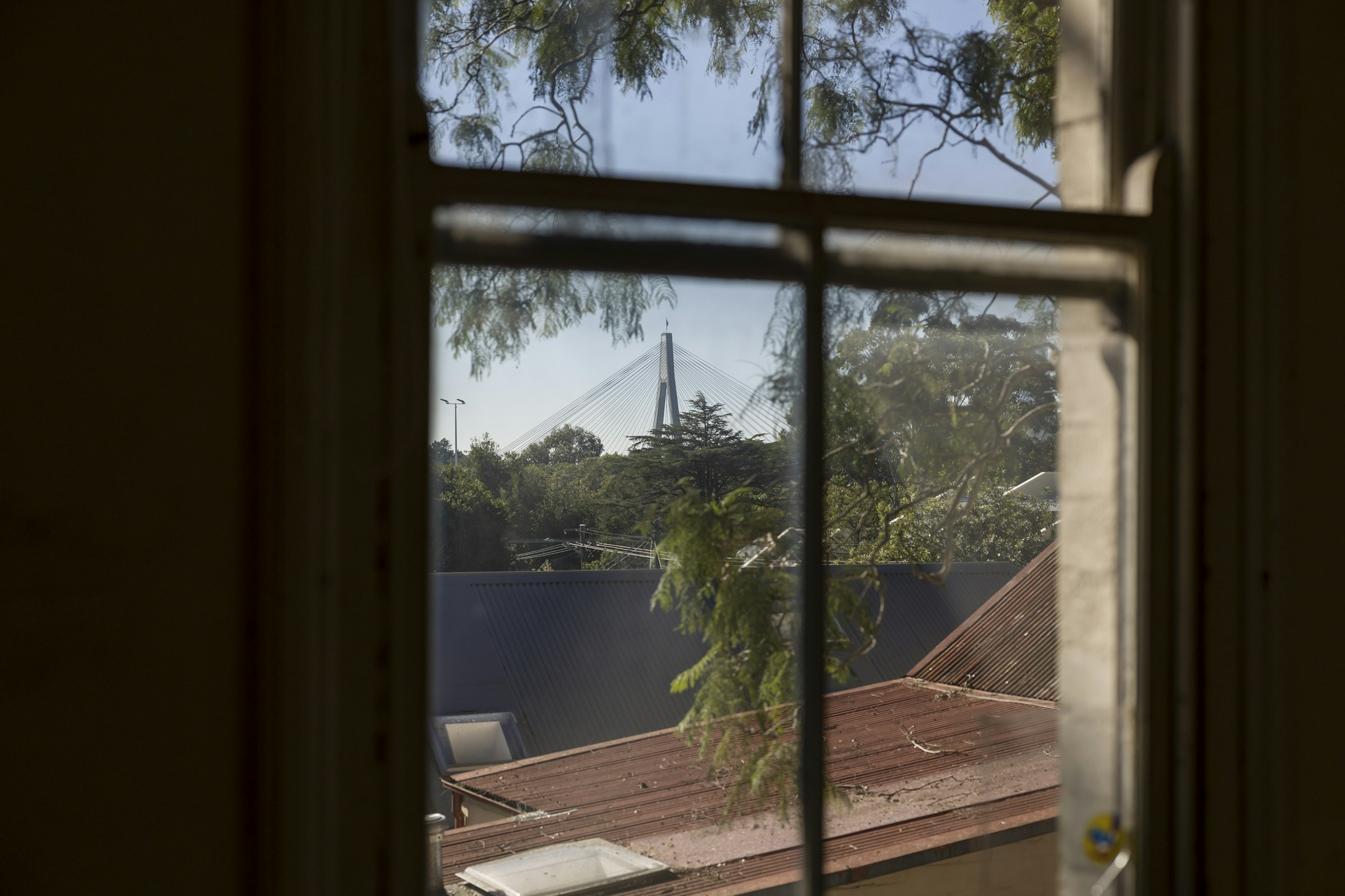 window