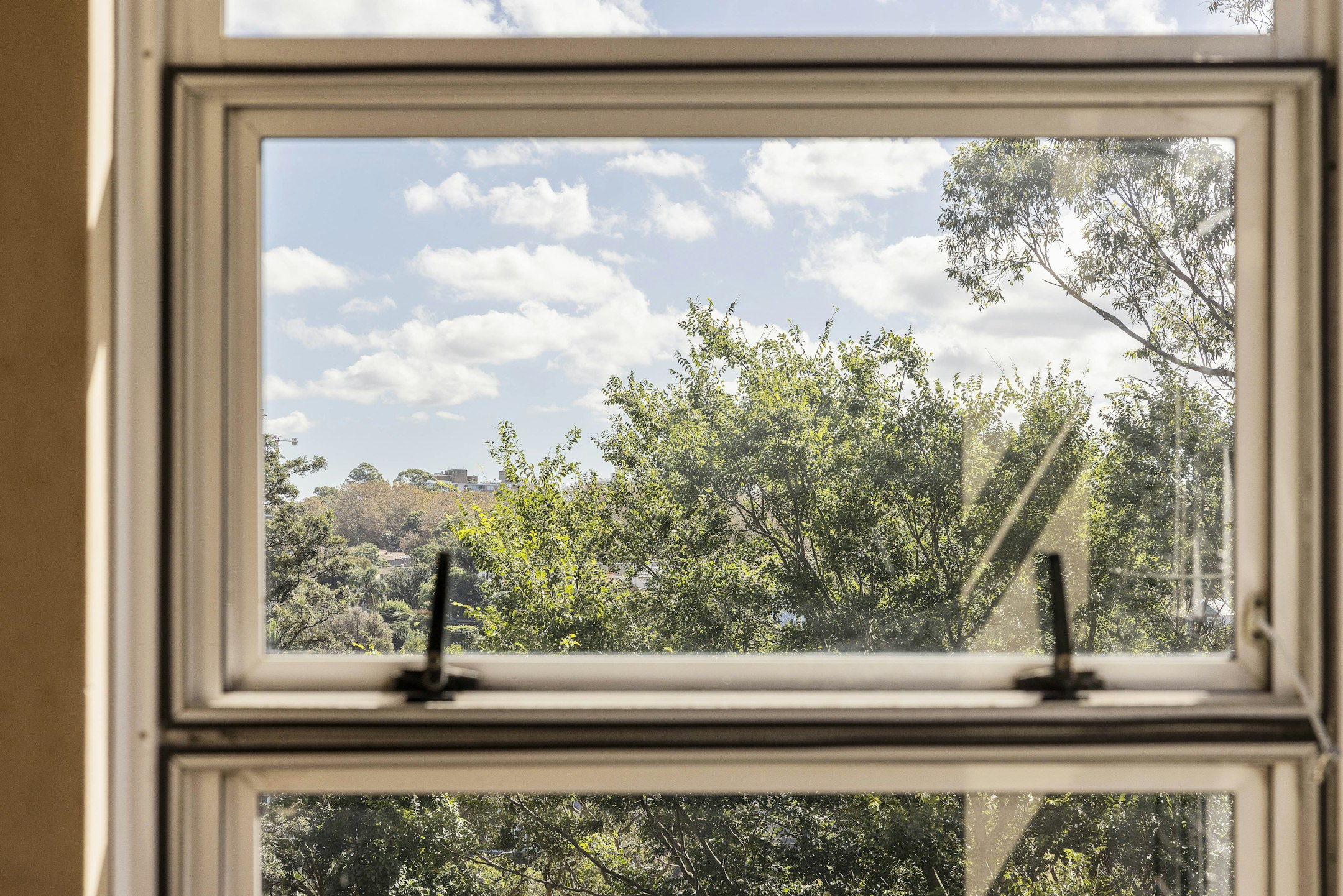 window