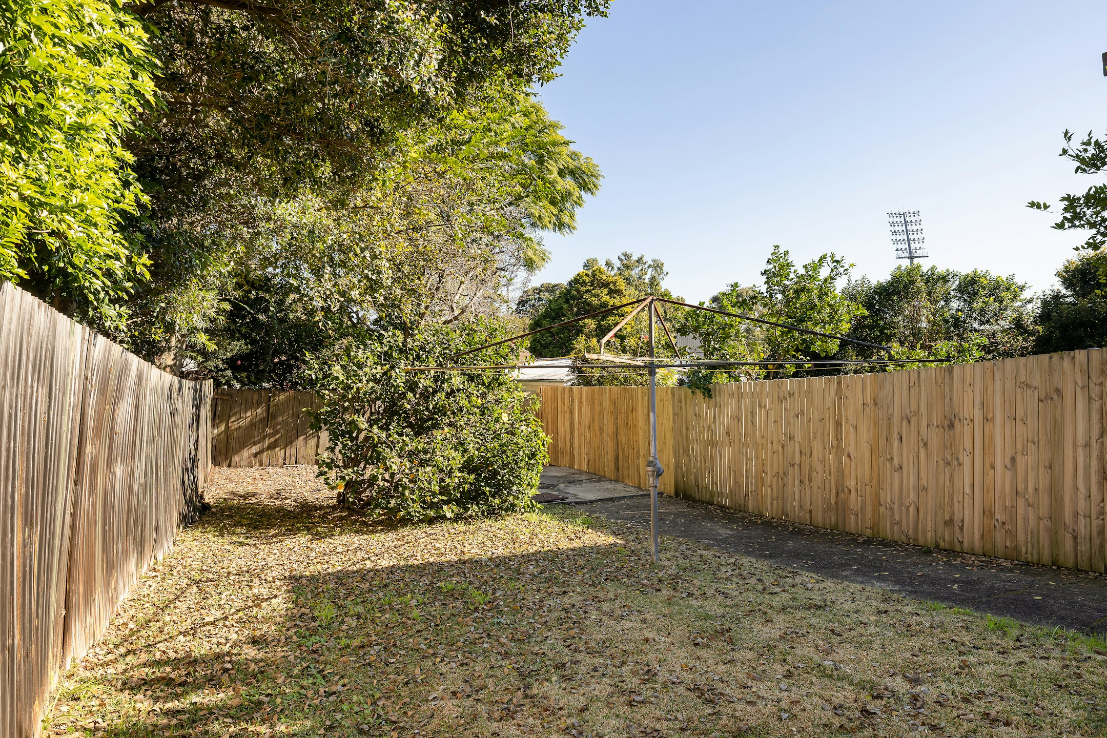 backyard