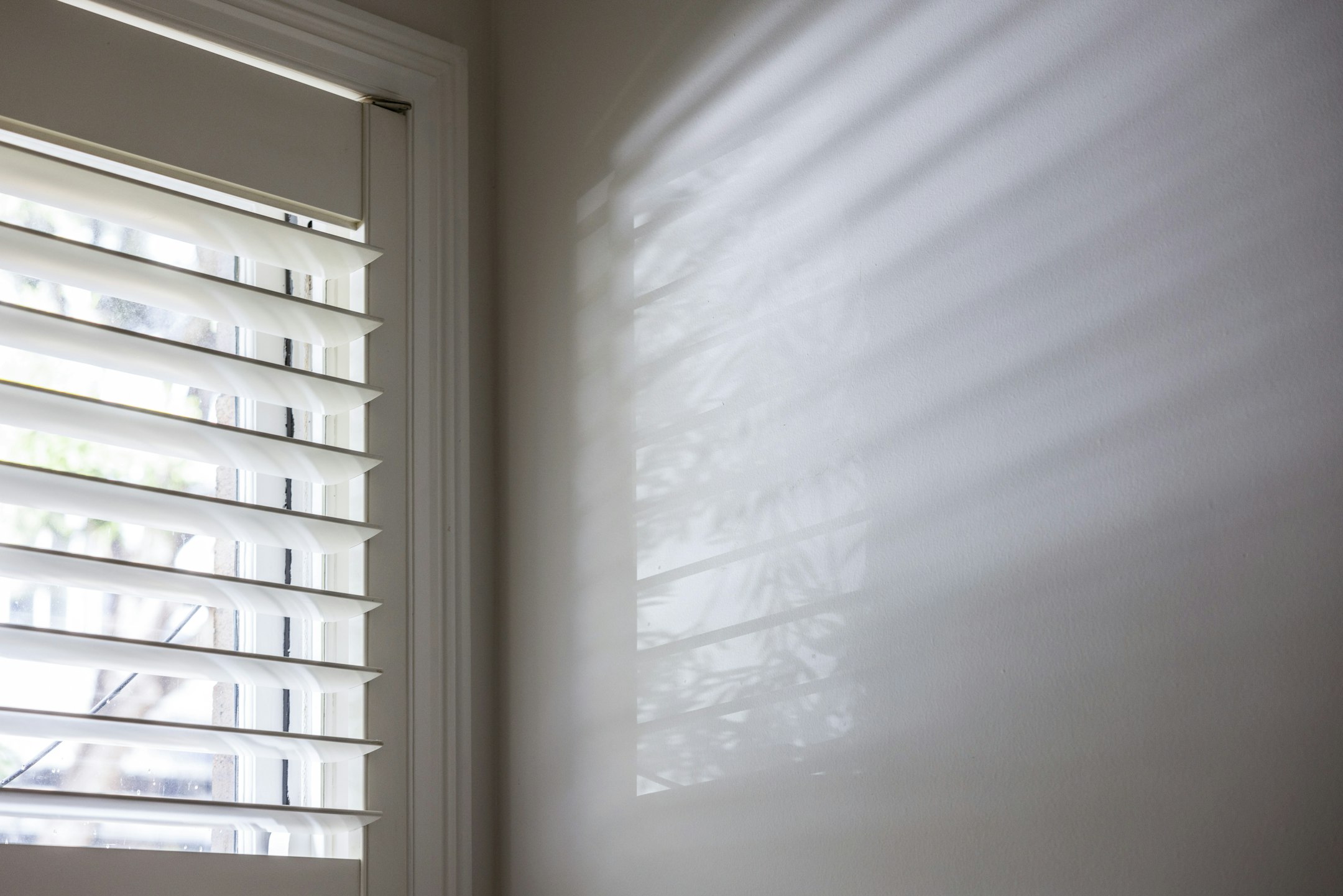 curtain