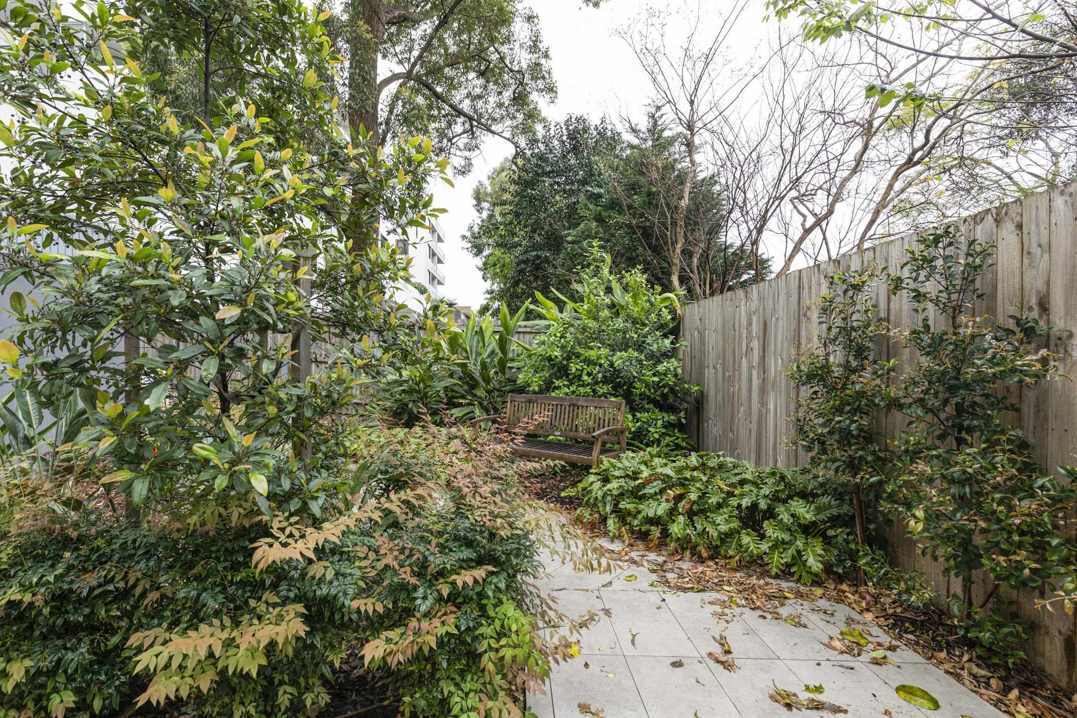 garden