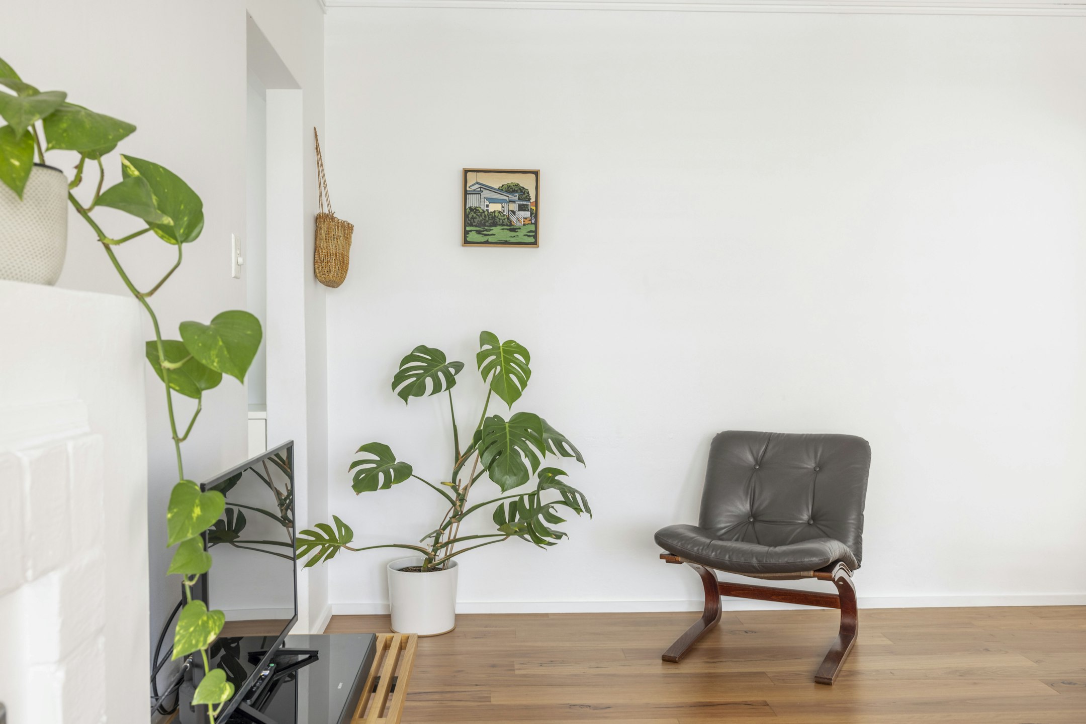 plant