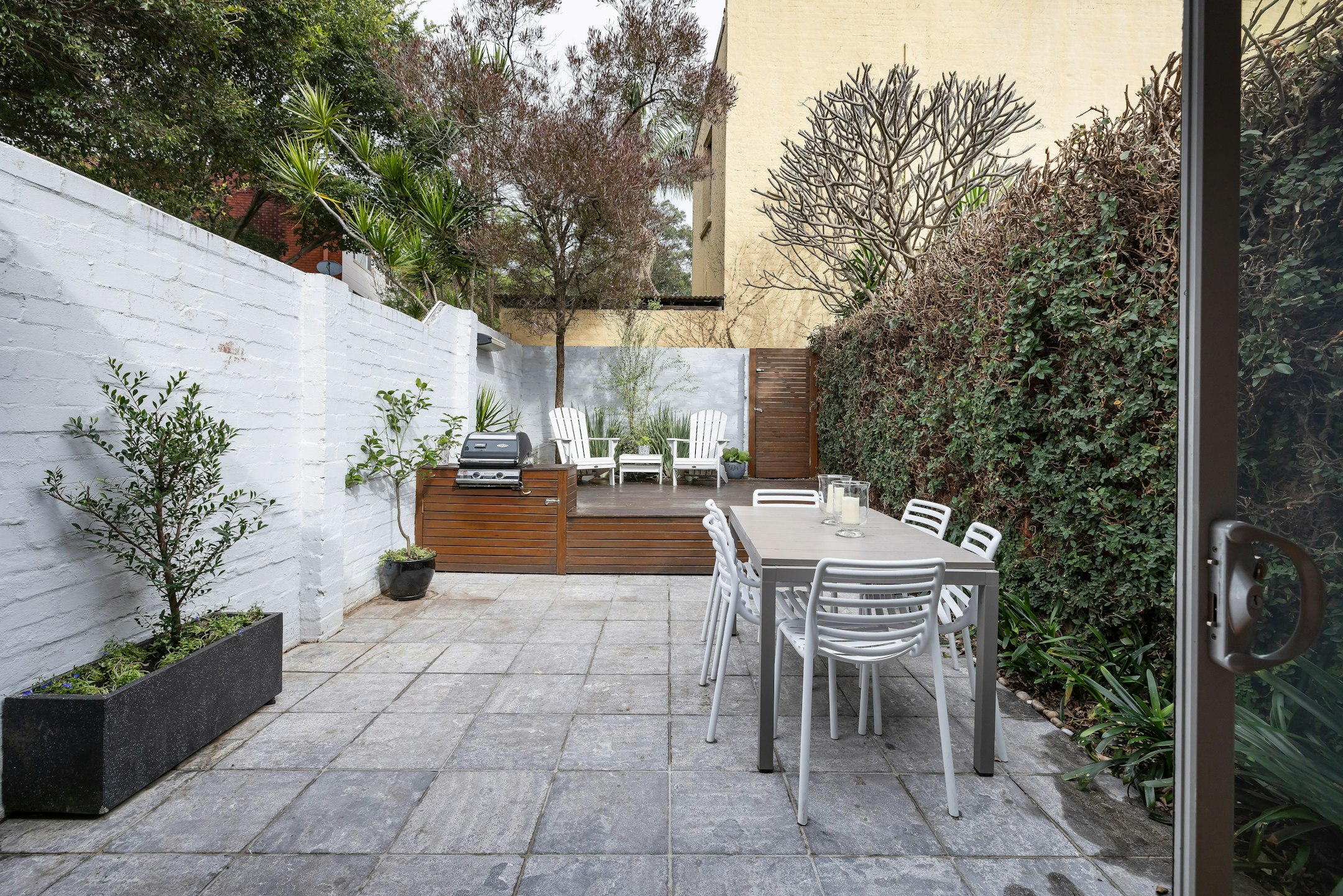 backyard