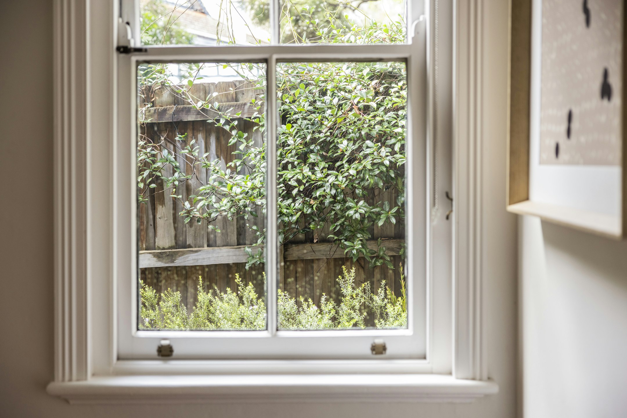 window