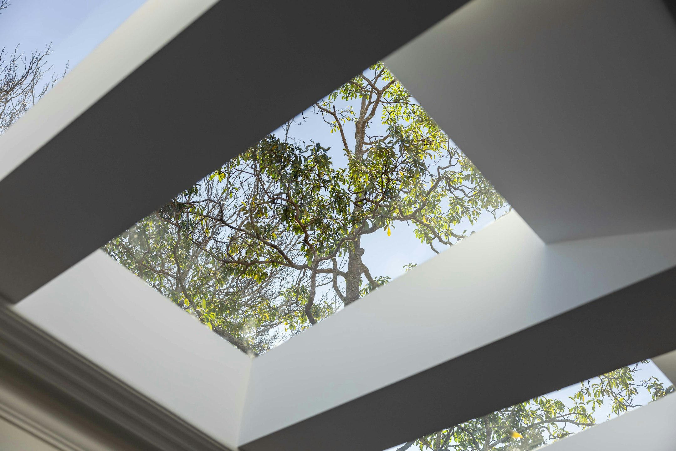 architecture