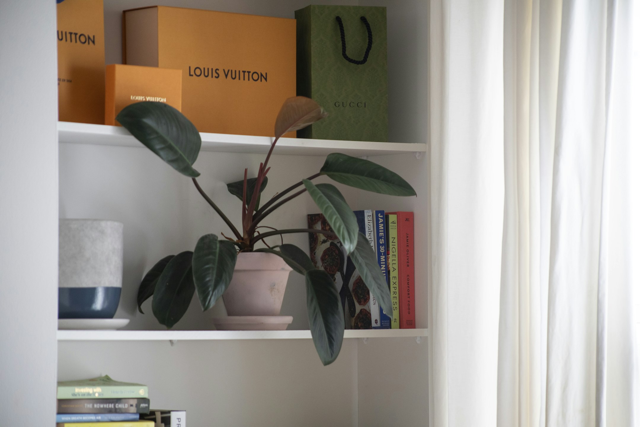 shelf