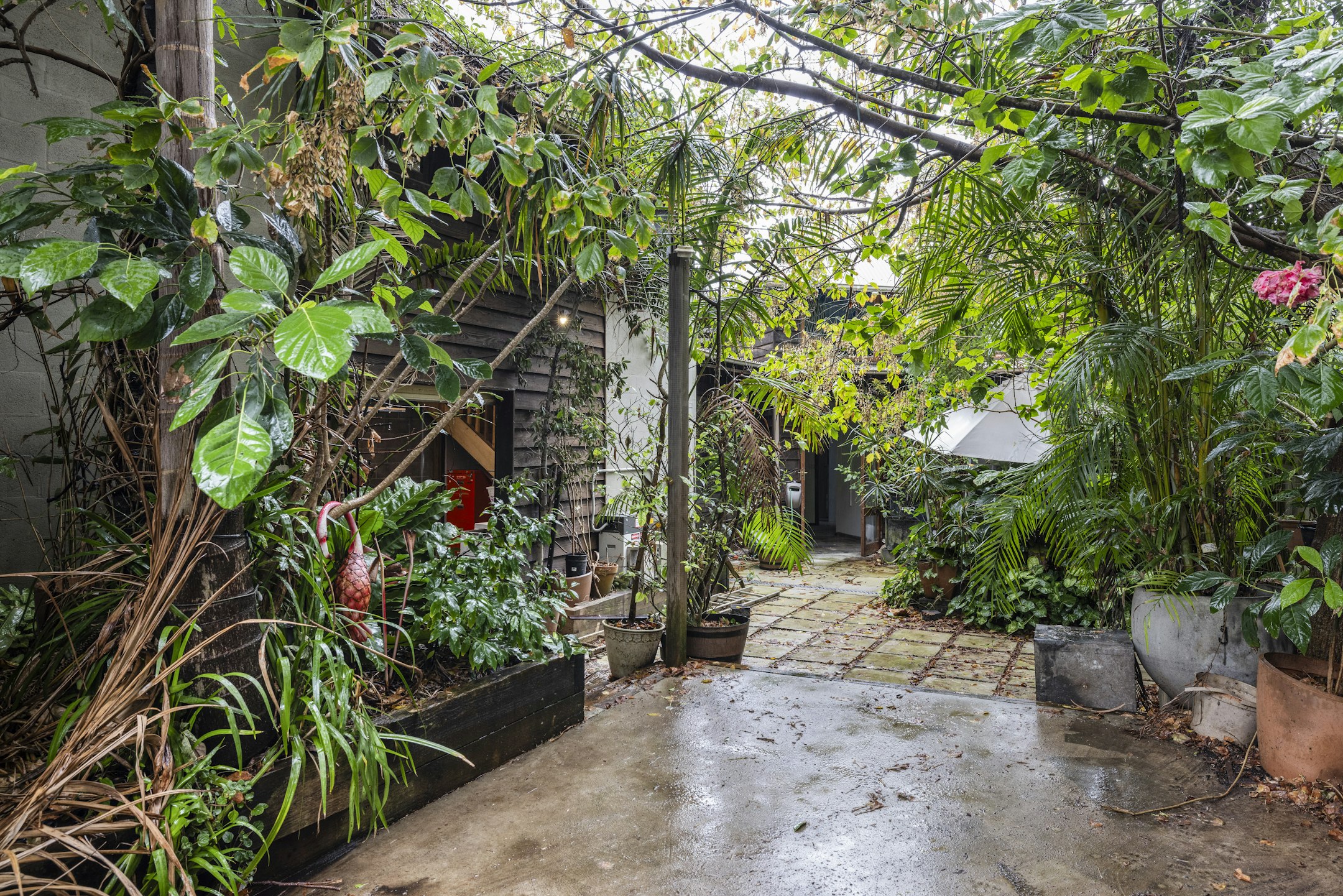 garden