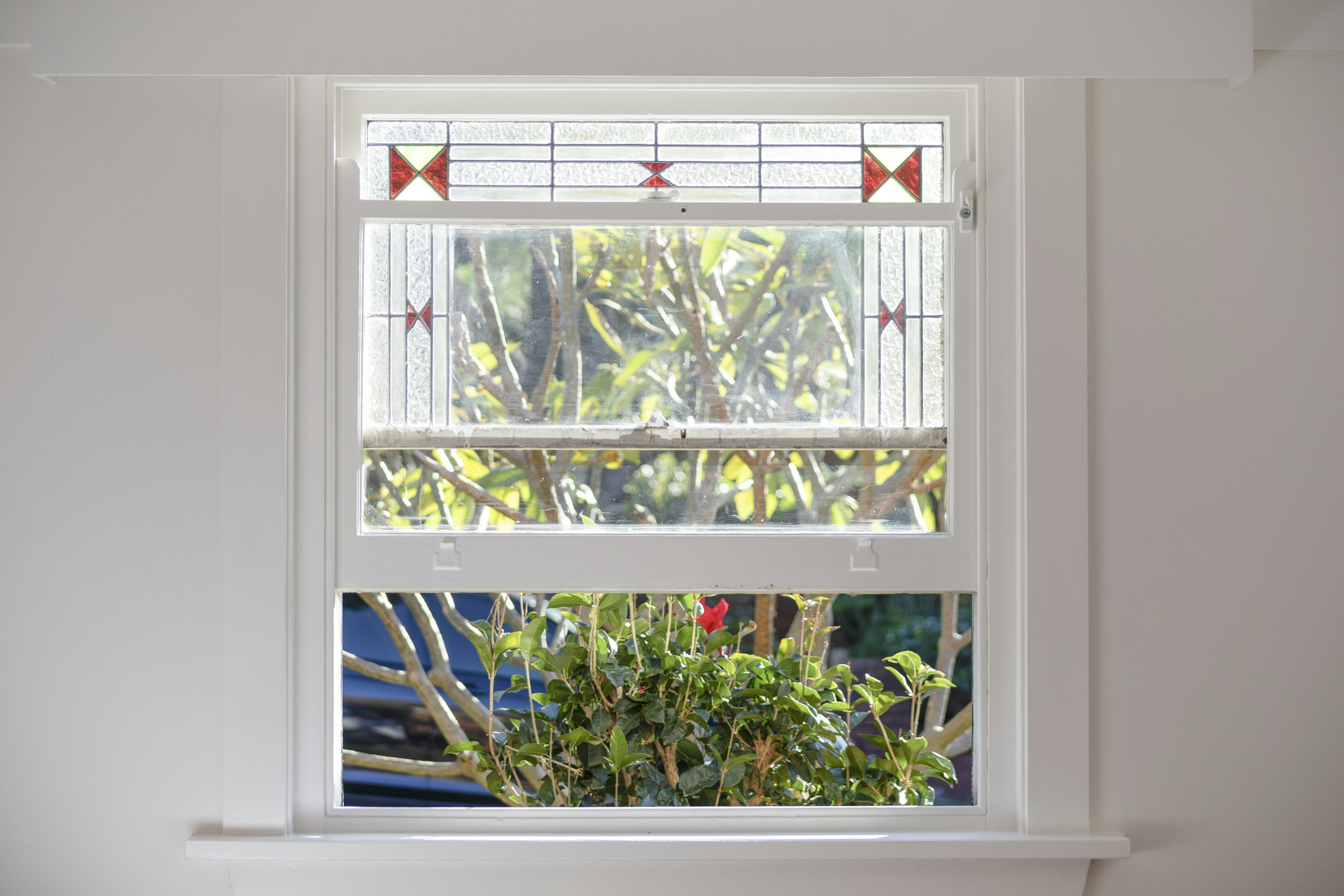 window