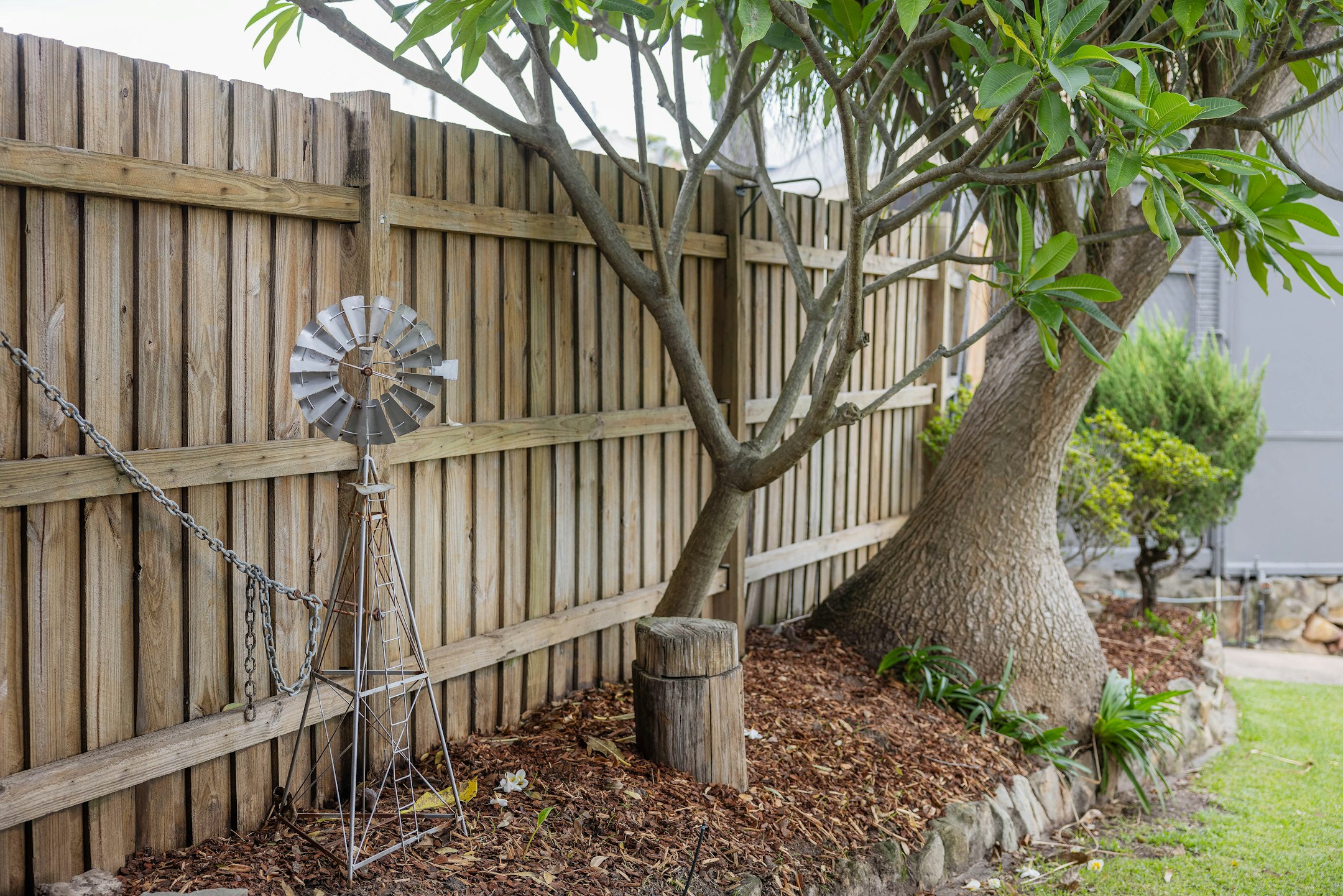 backyard