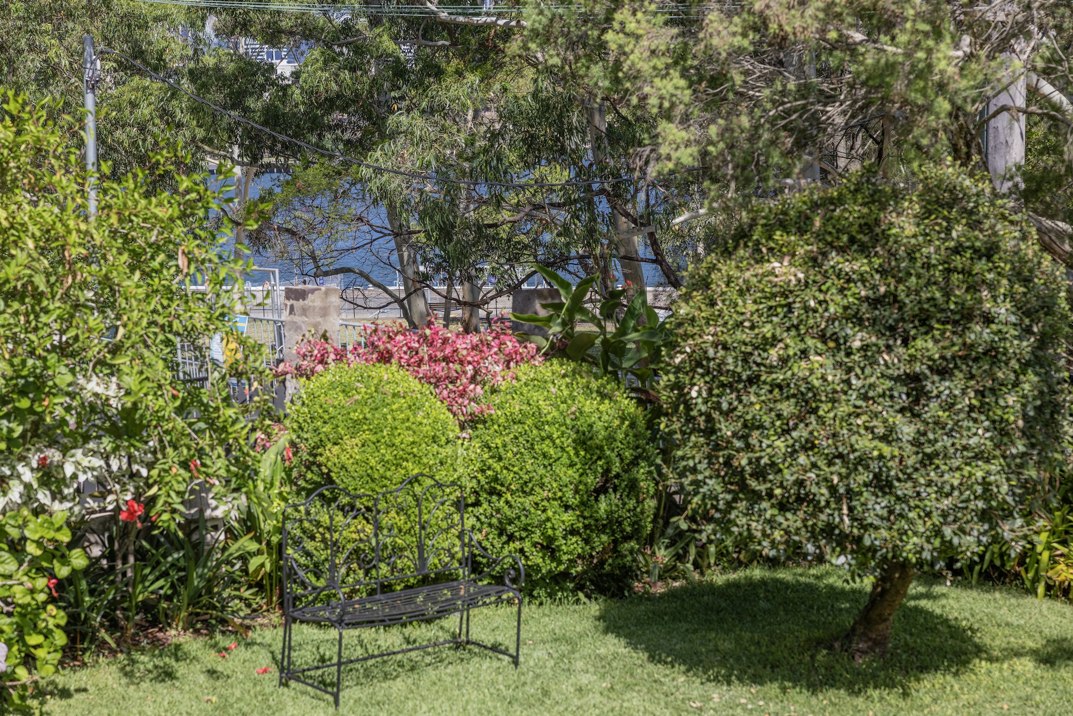 garden