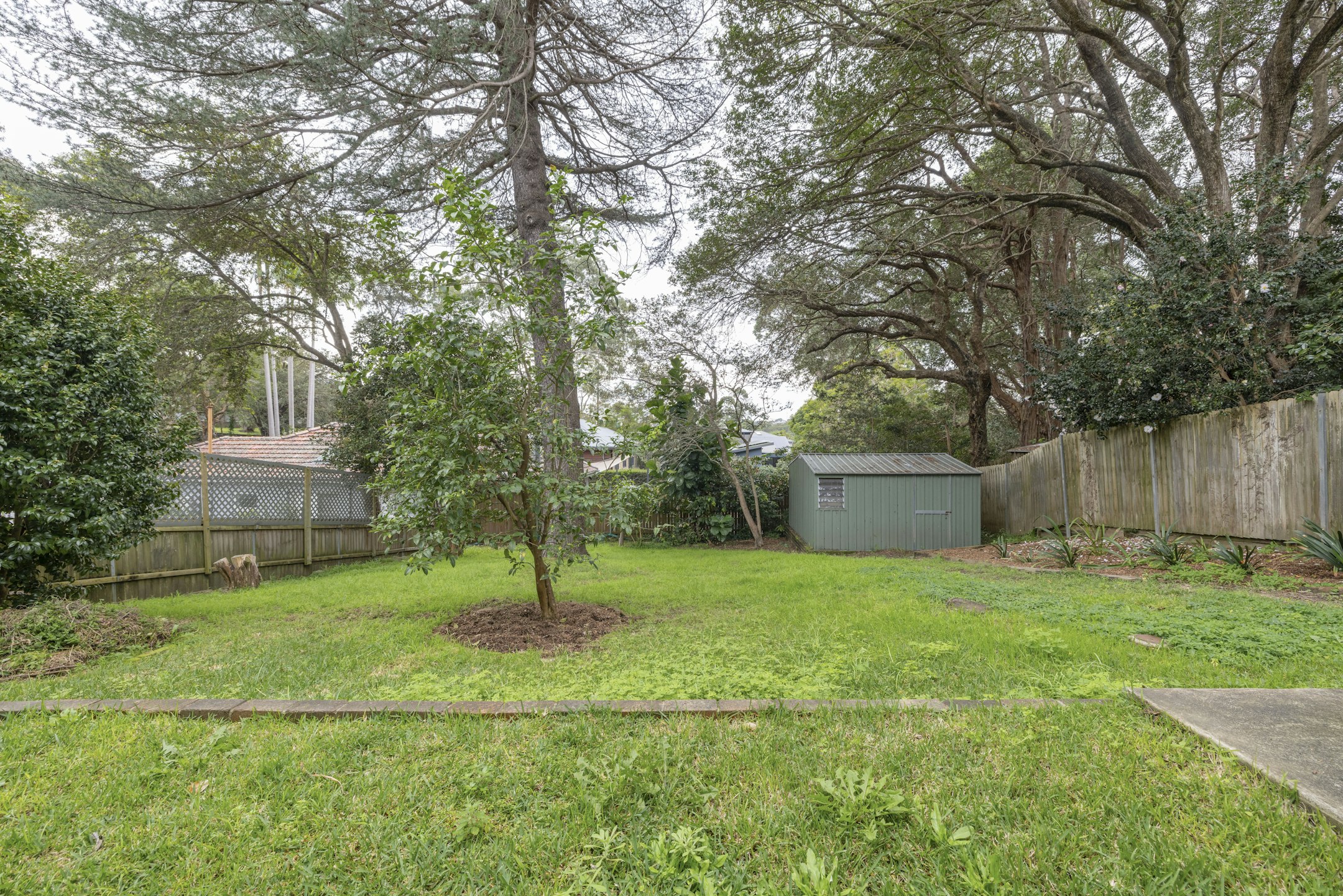 backyard