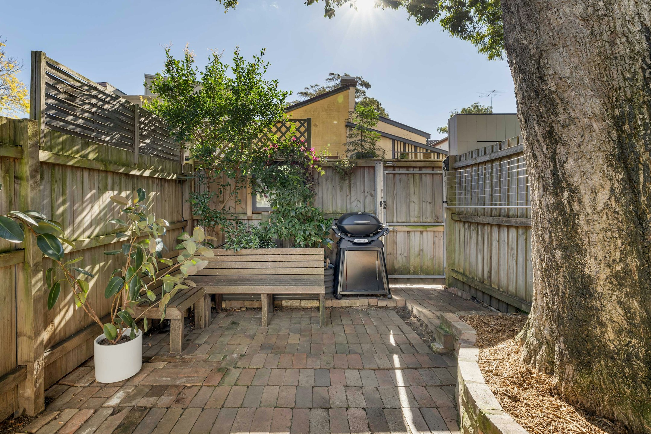 backyard