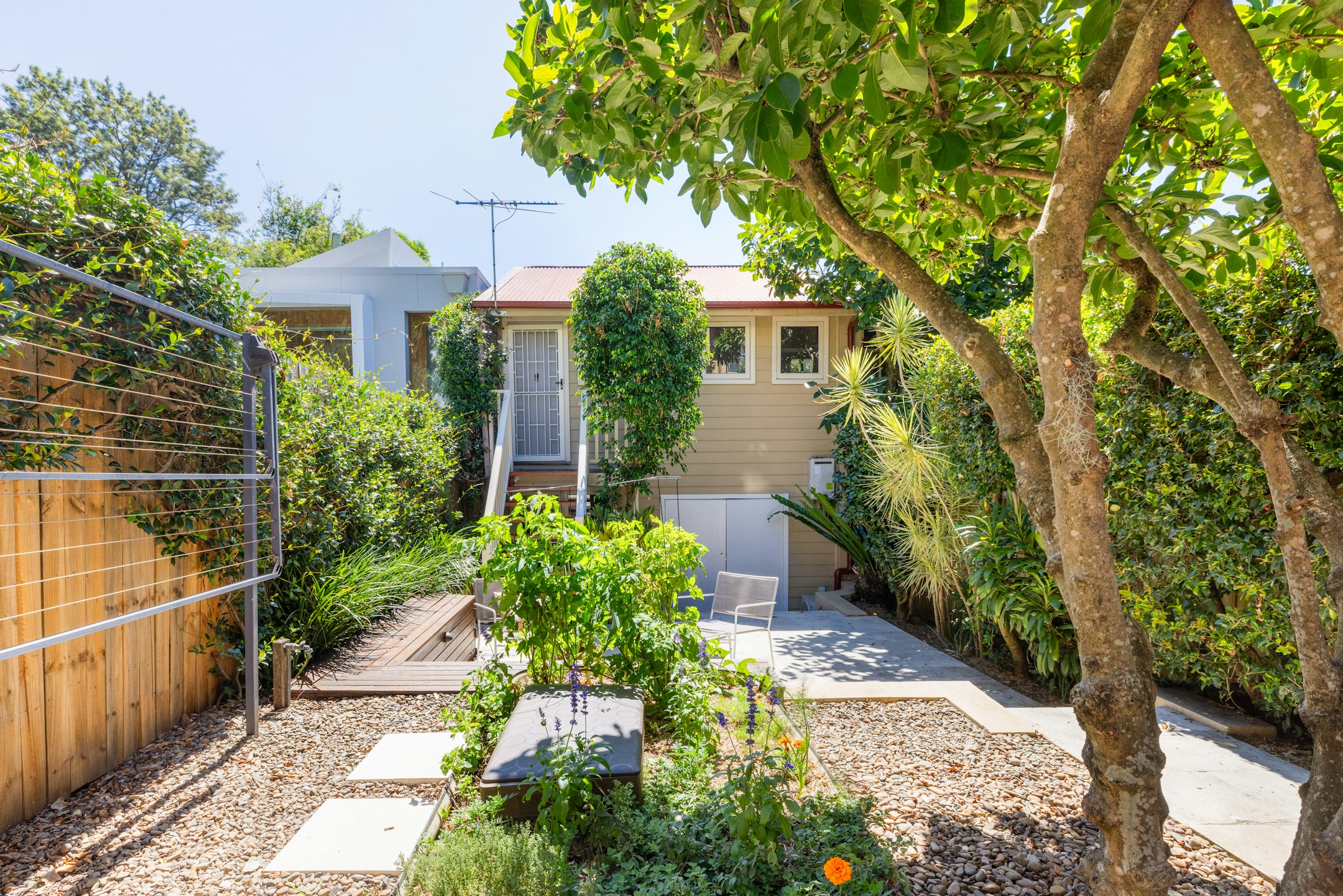 garden