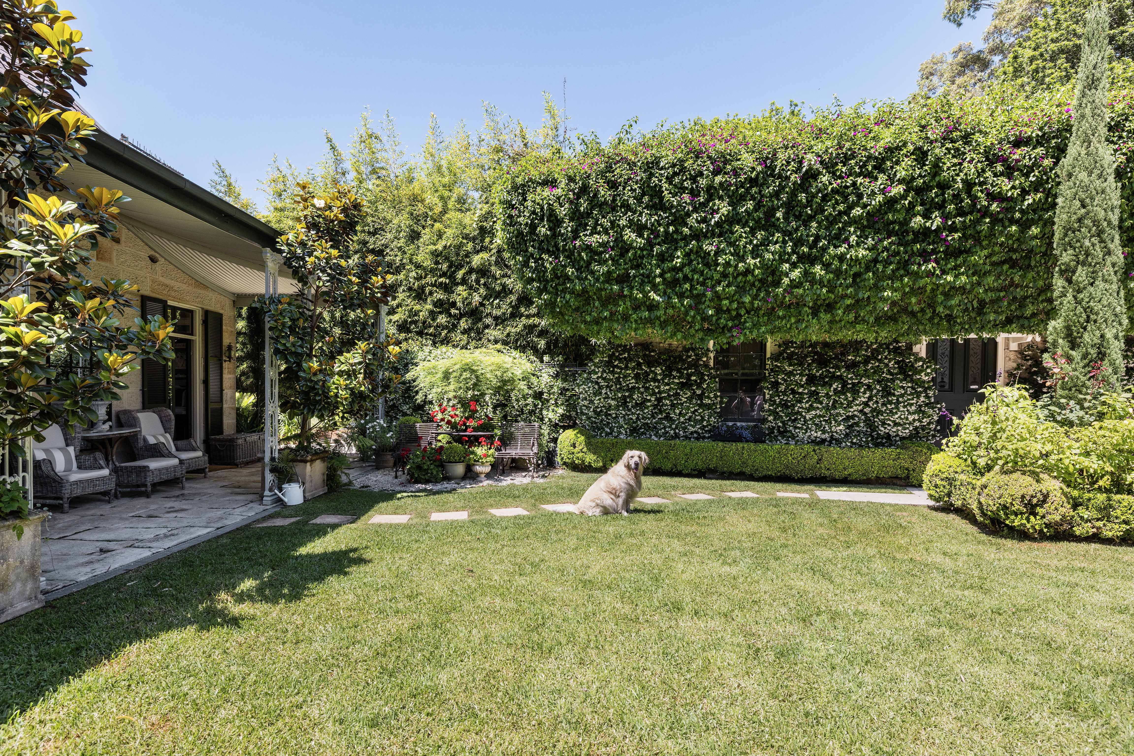 28 Joubert Street, Hunters Hill - Thumbnail 6
