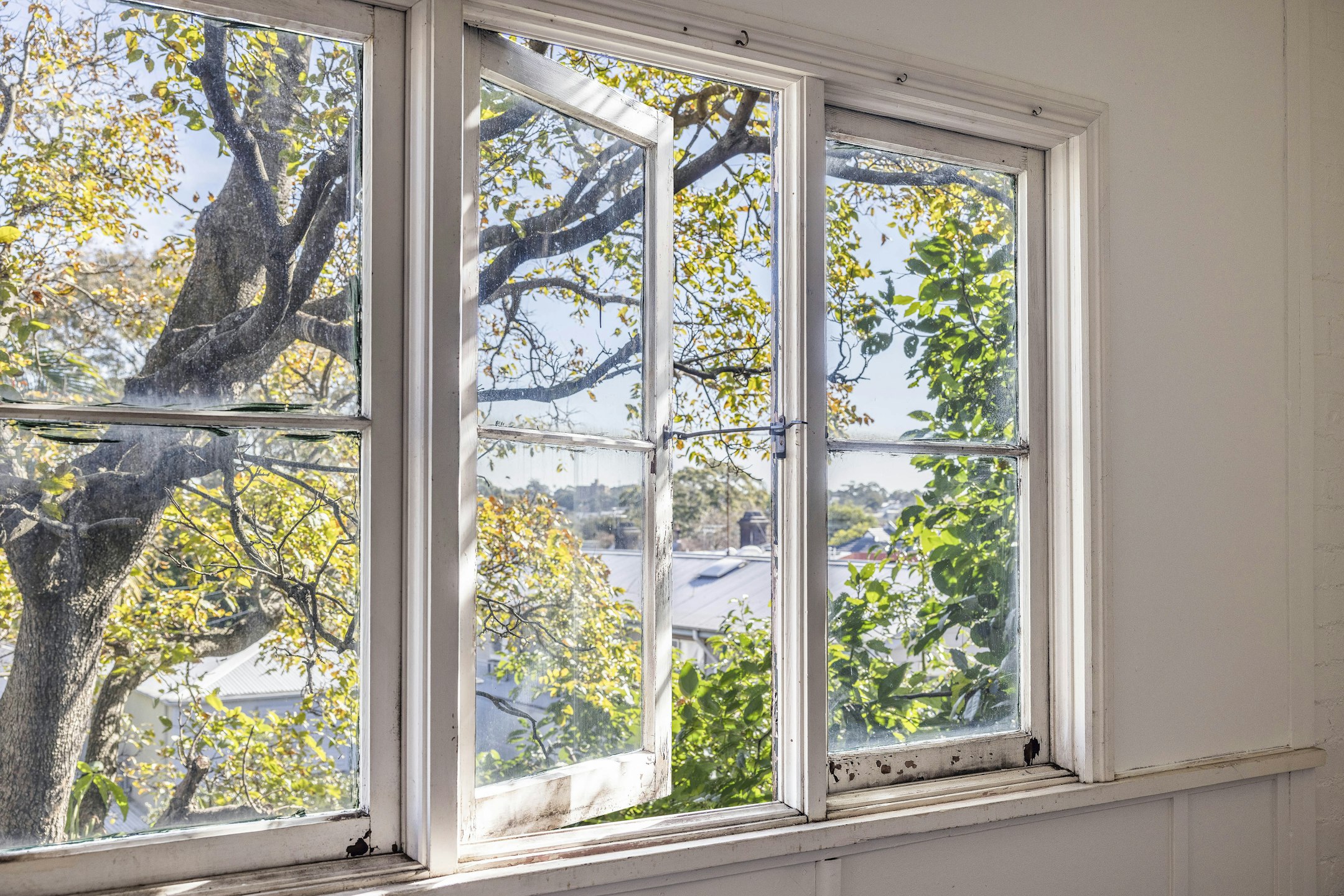 window