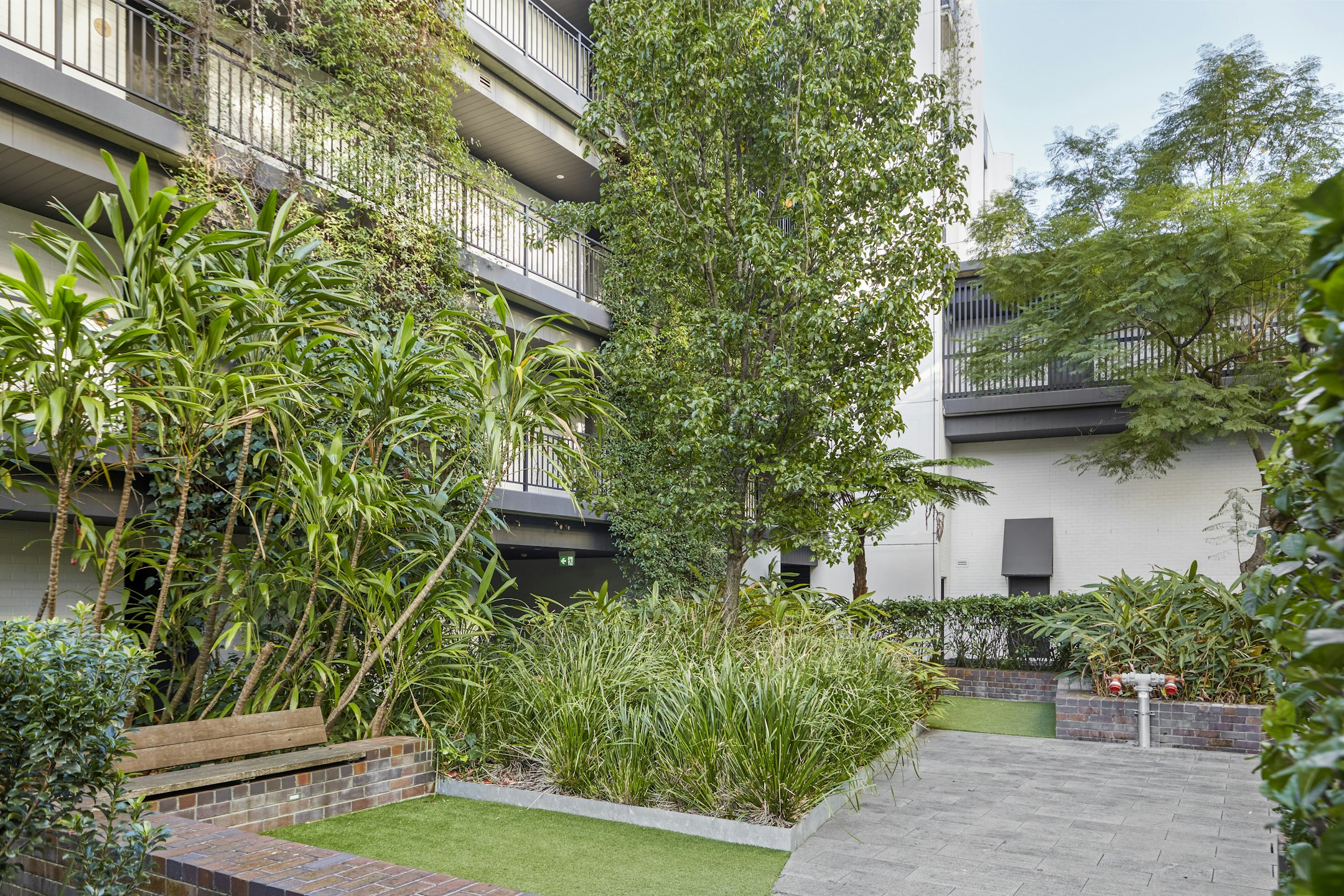 garden