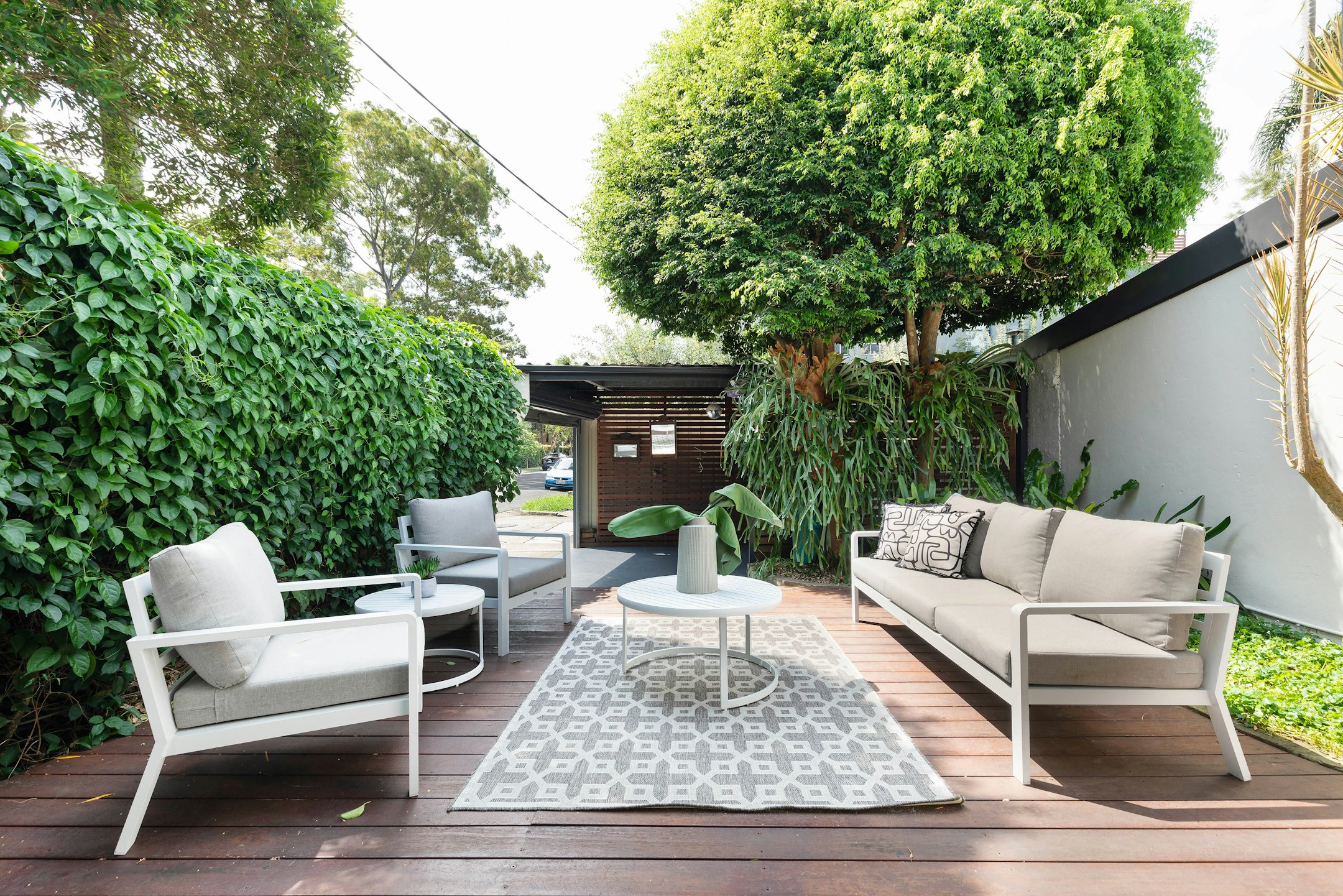 backyard