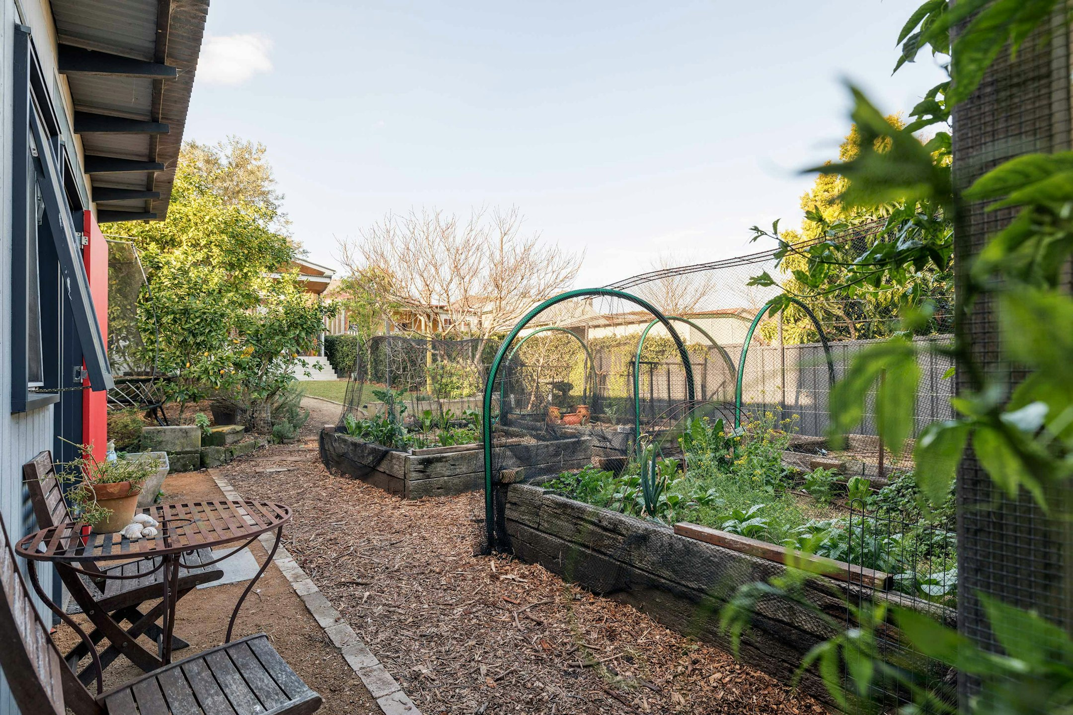 garden