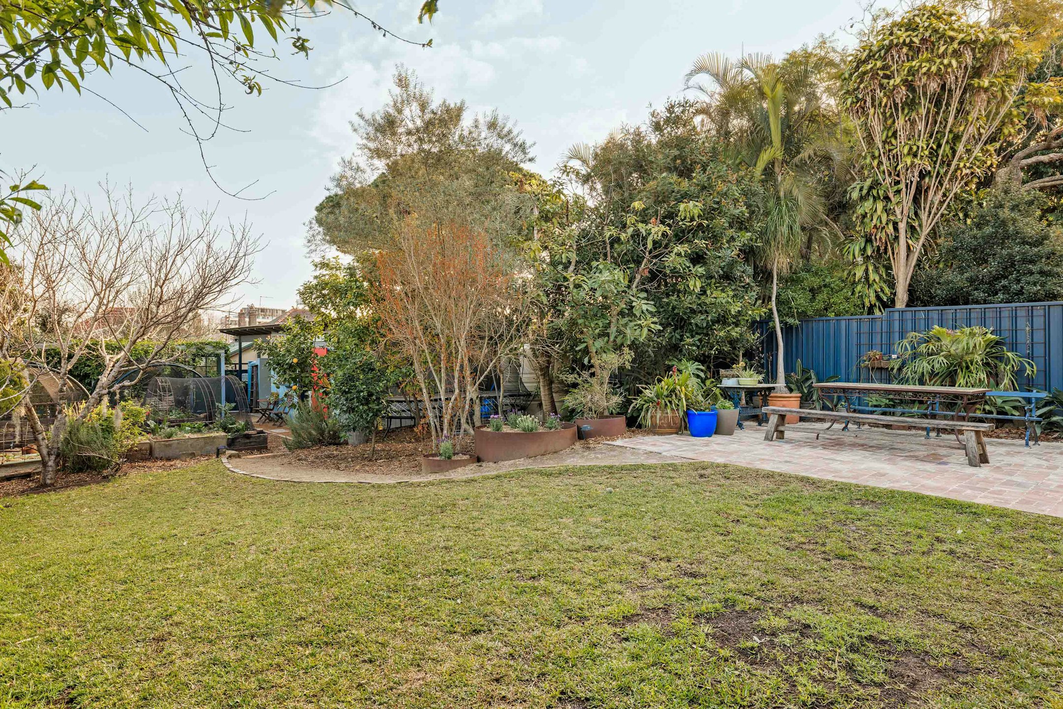 backyard